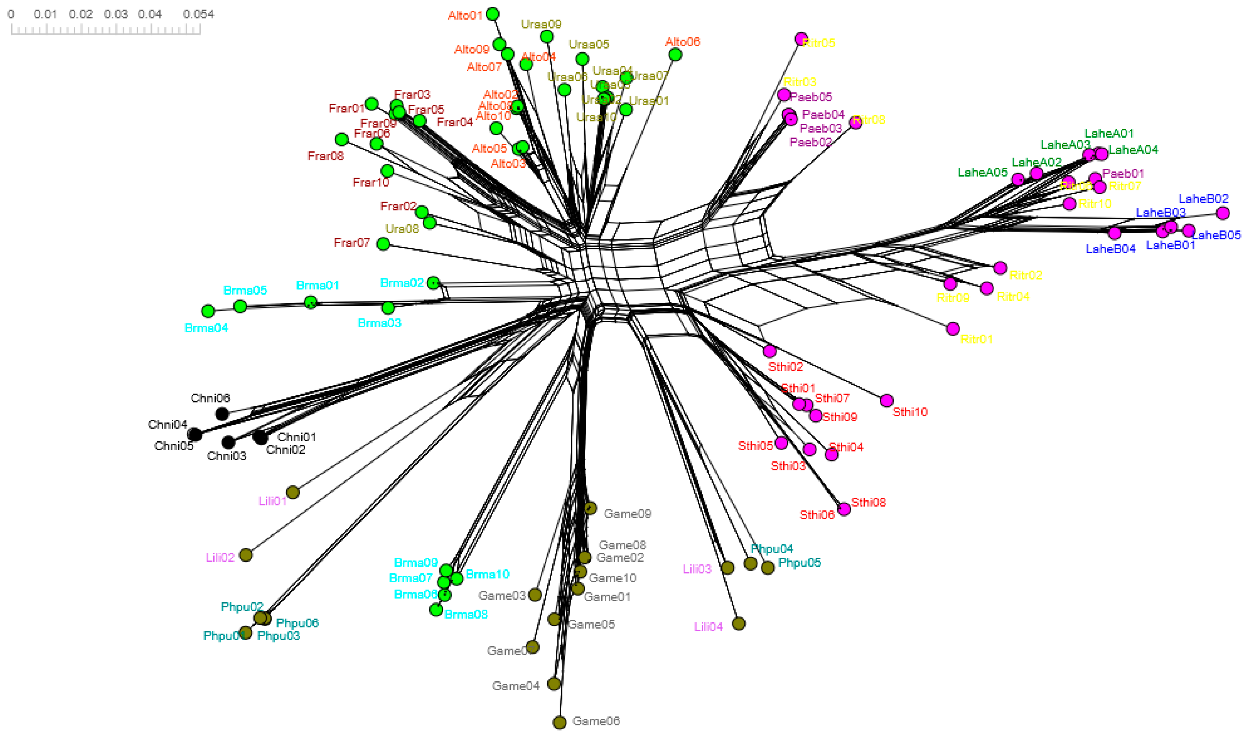 Genes 13 00917 g008 Genes 13 00917 g008