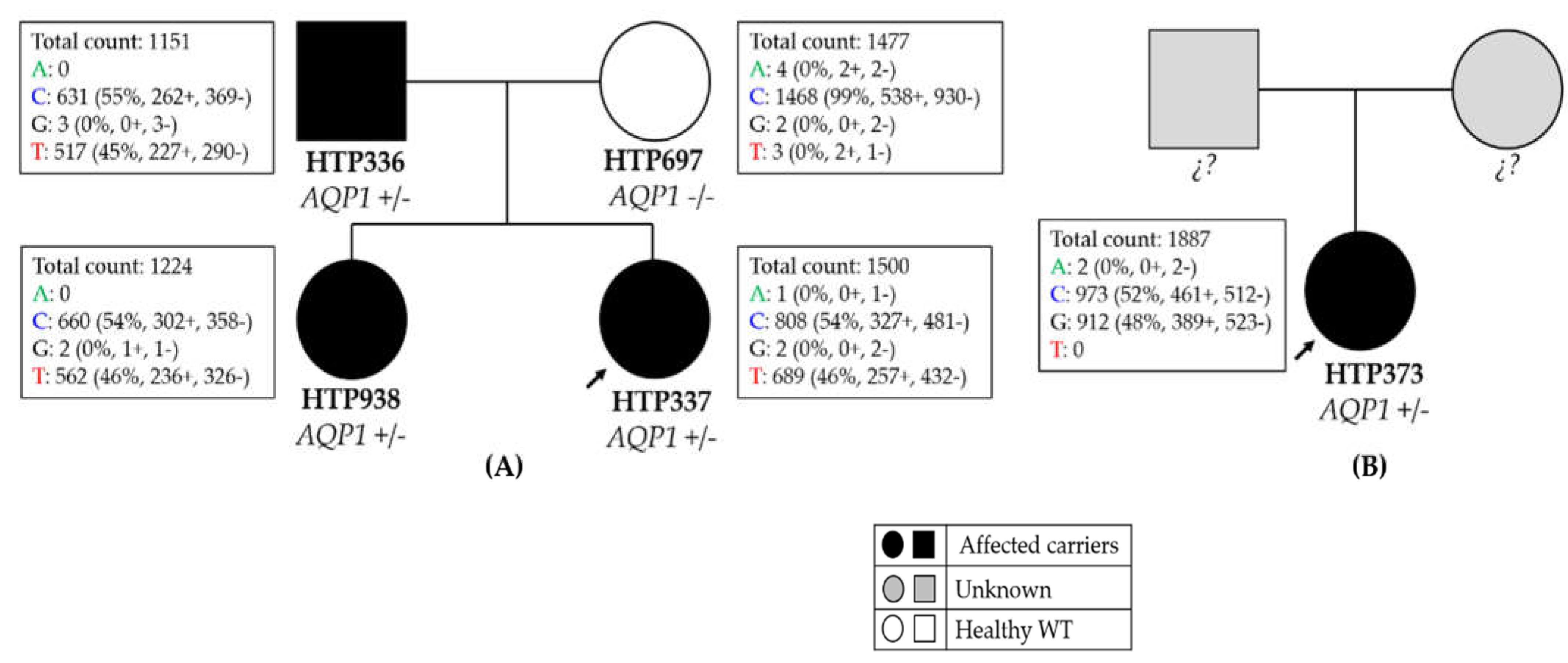 Genes 13 00927 g002 Genes 13 00927 g002