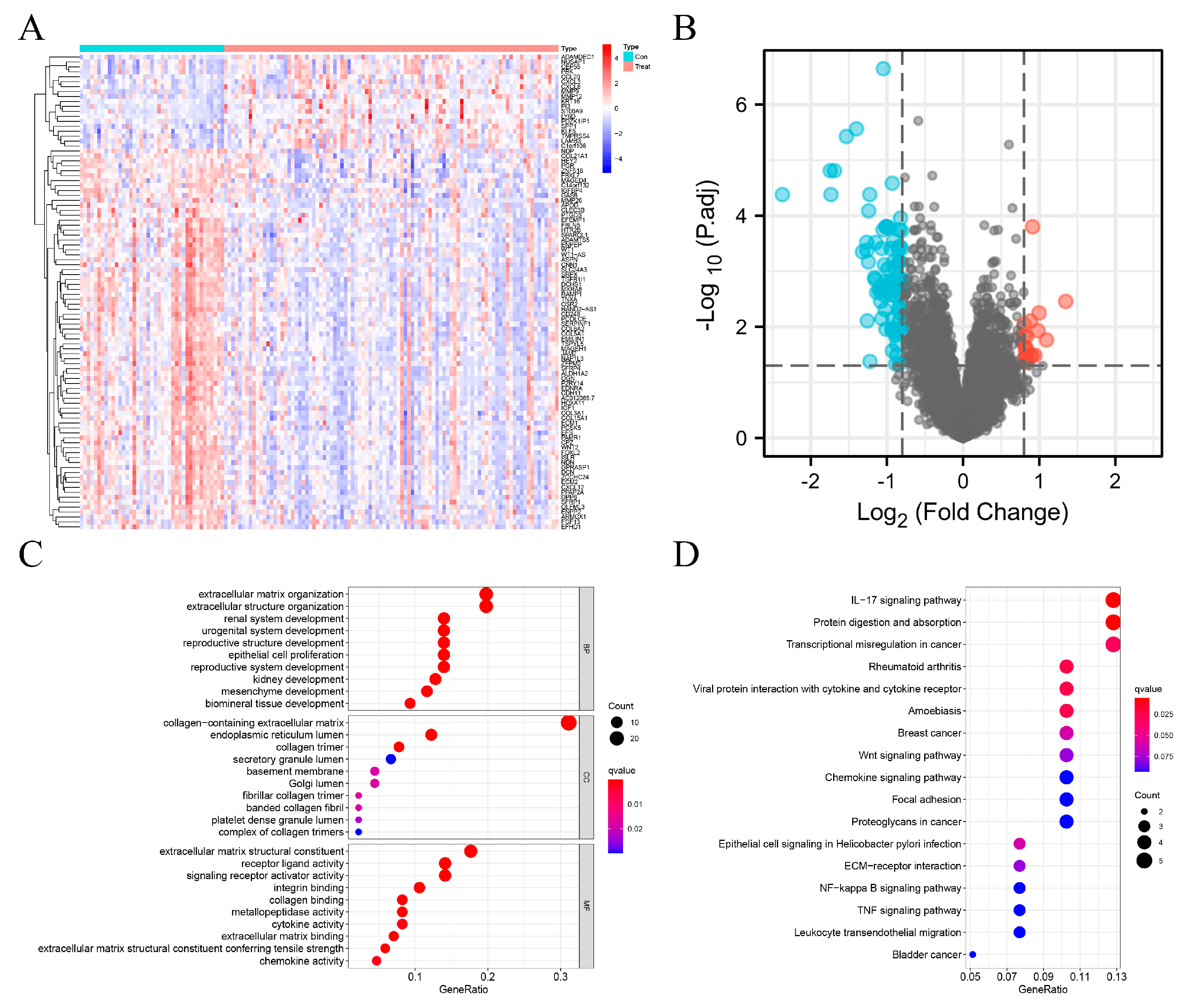 Genes 13 00935 g001