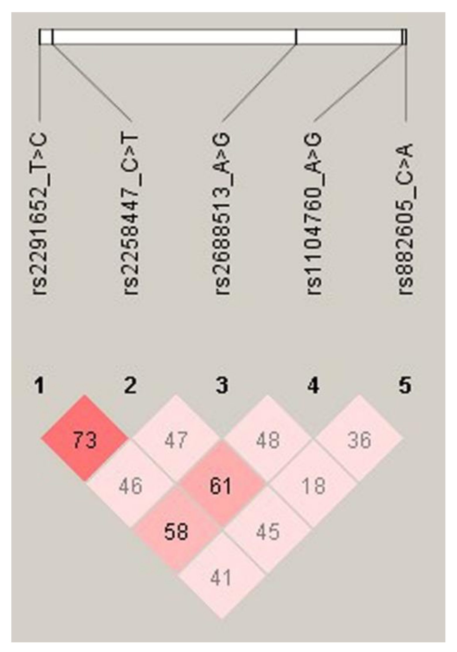 Genes 13 00937 g001 Genes 13 00937 g001