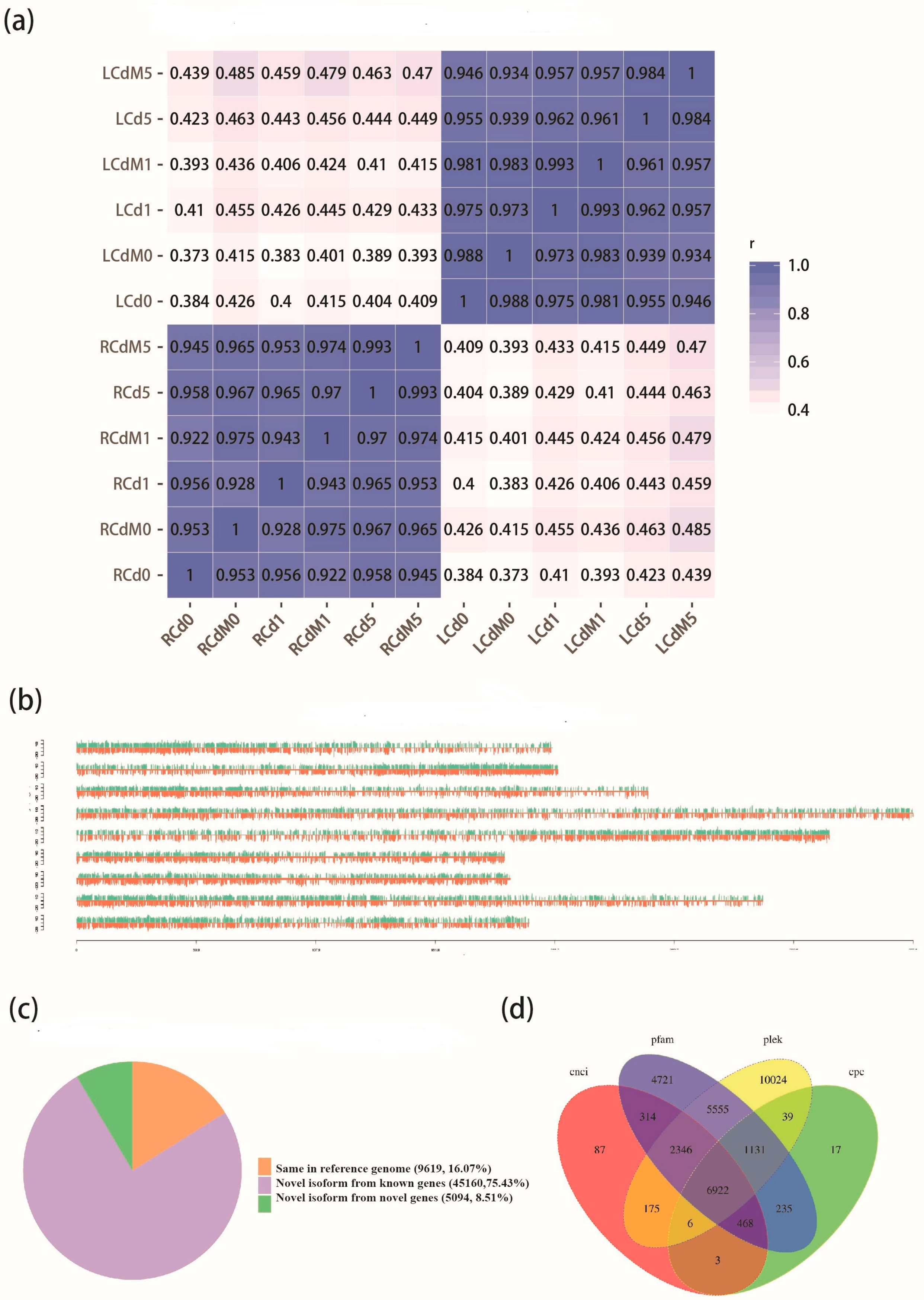 Genes 13 00955 g002