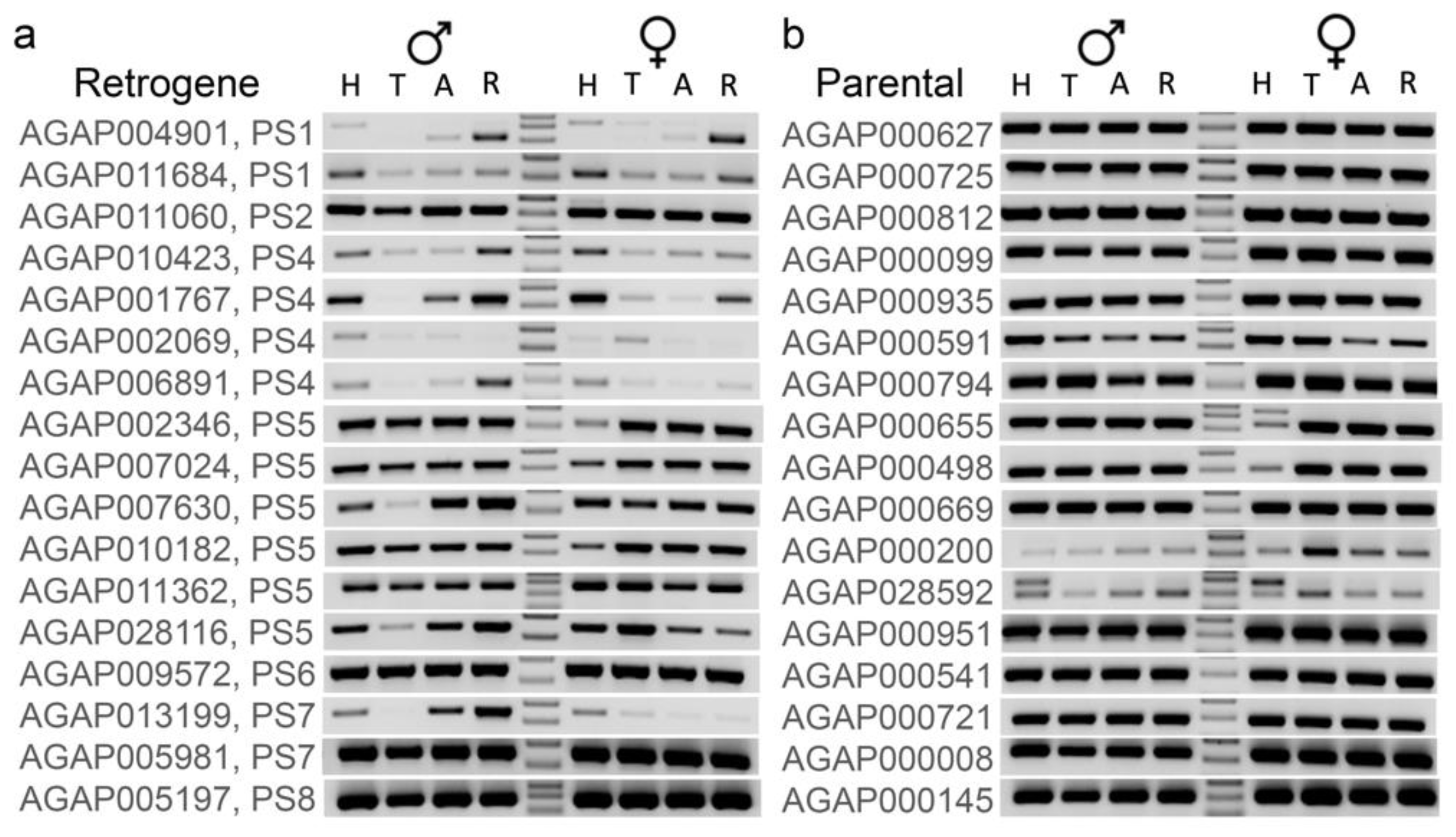 Genes 13 00968 g005