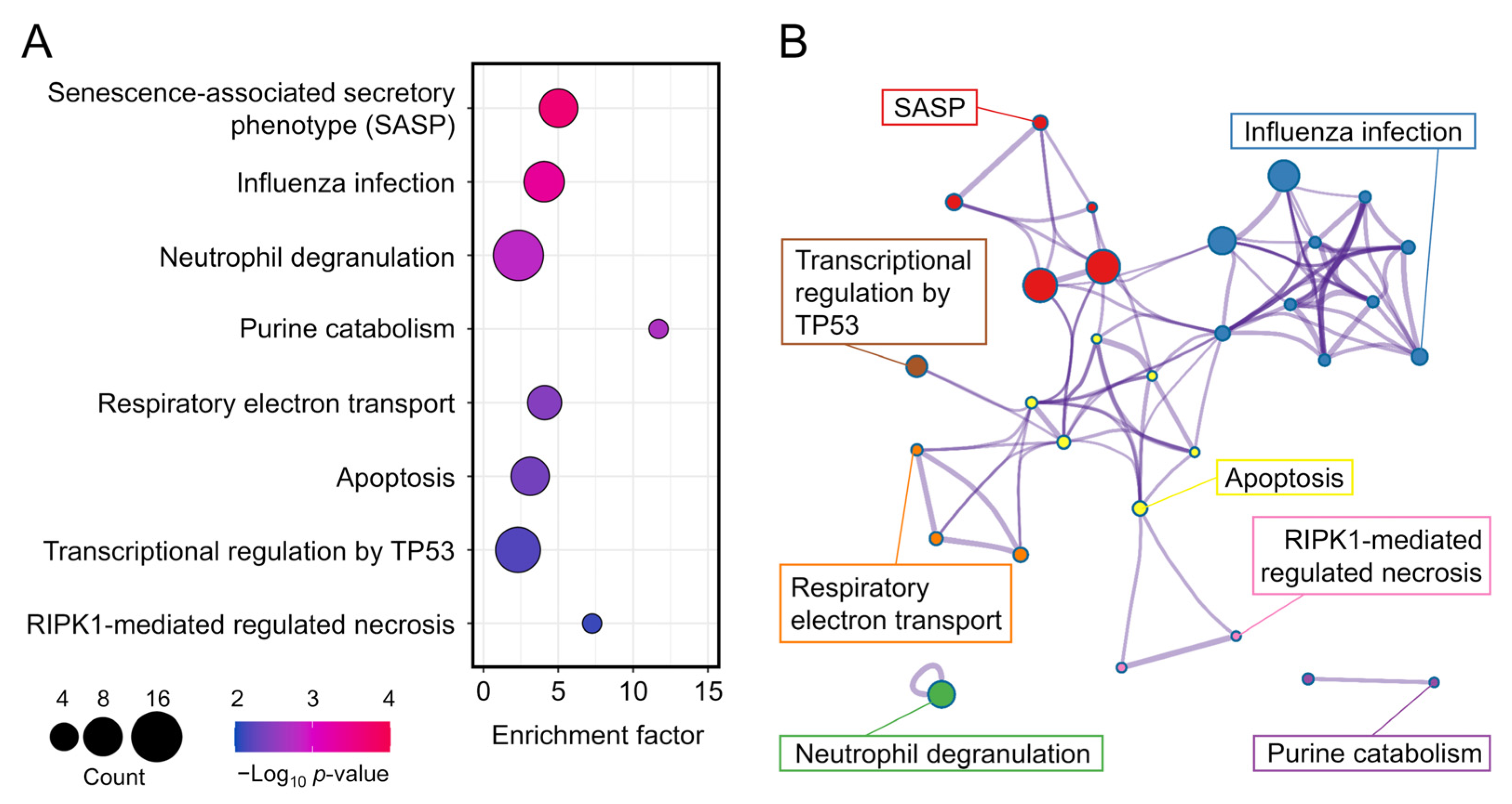 Genes 13 00974 g005
