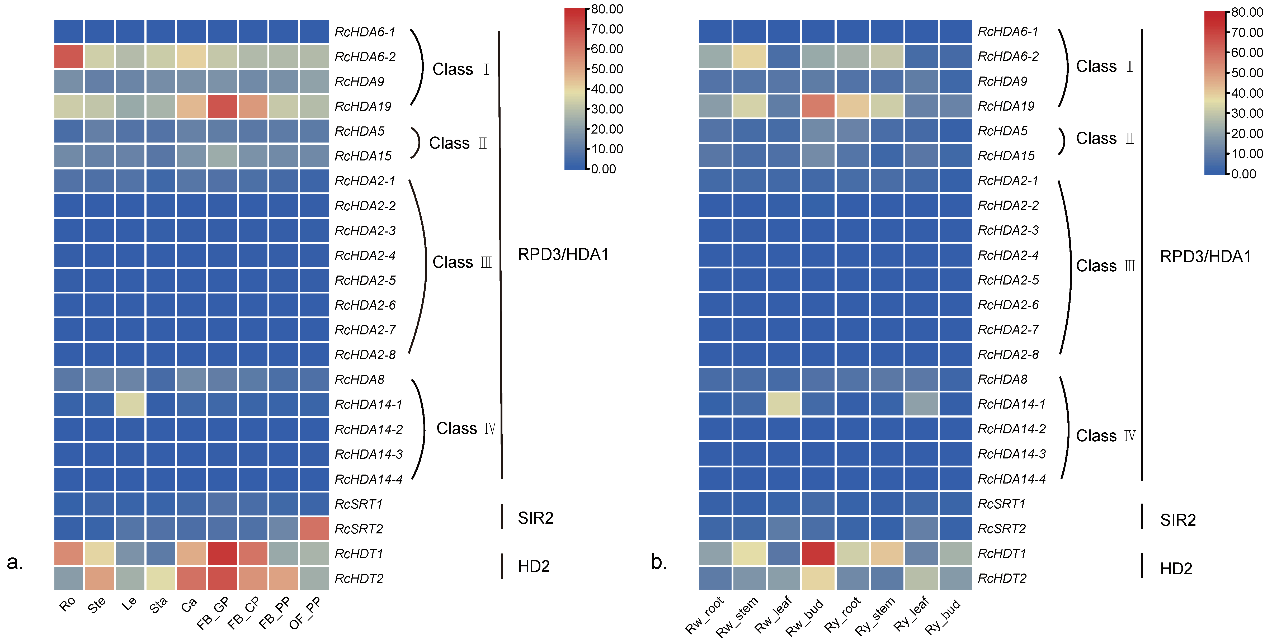 Genes 13 00980 g004