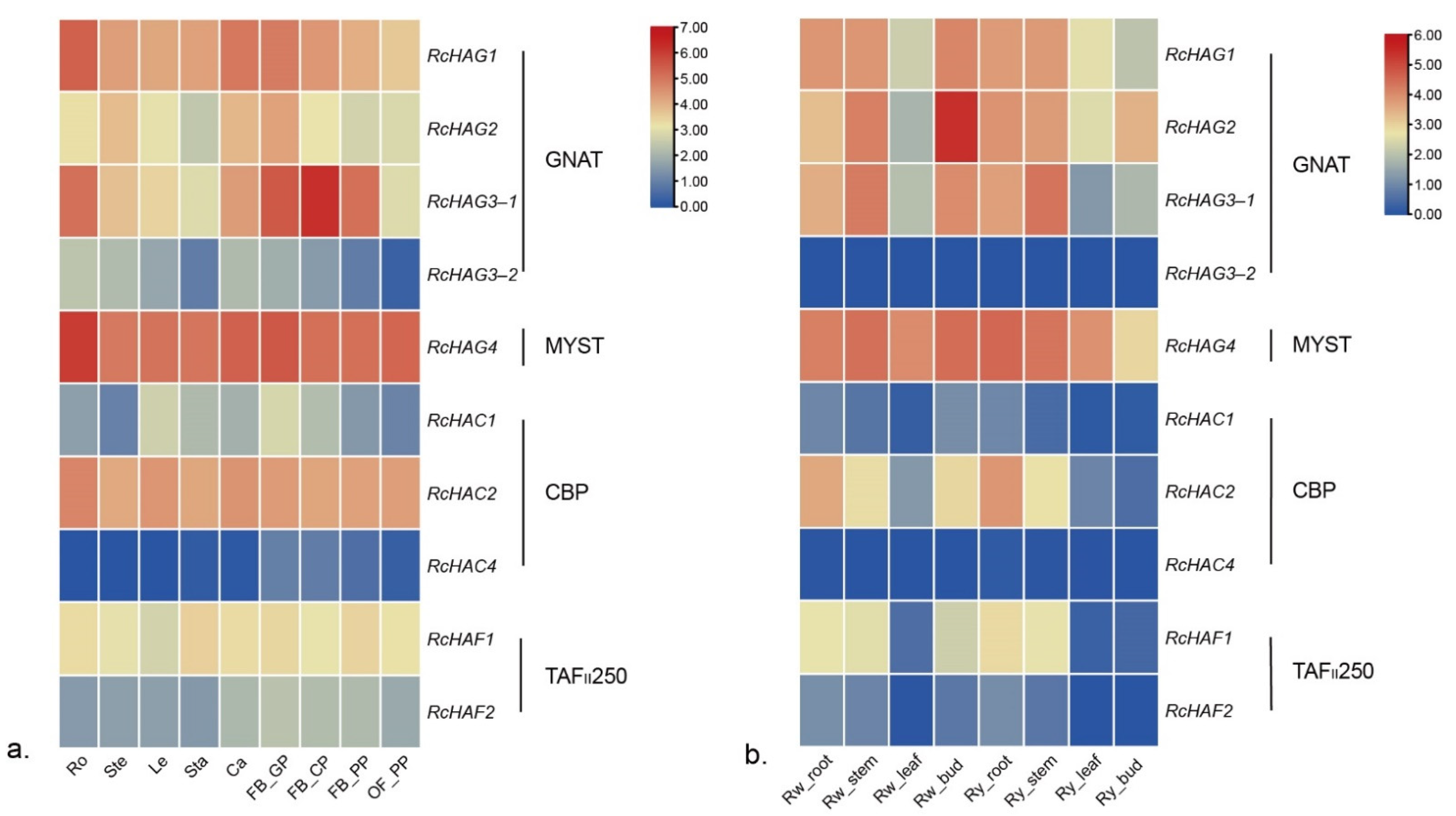 Genes 13 00980 g005