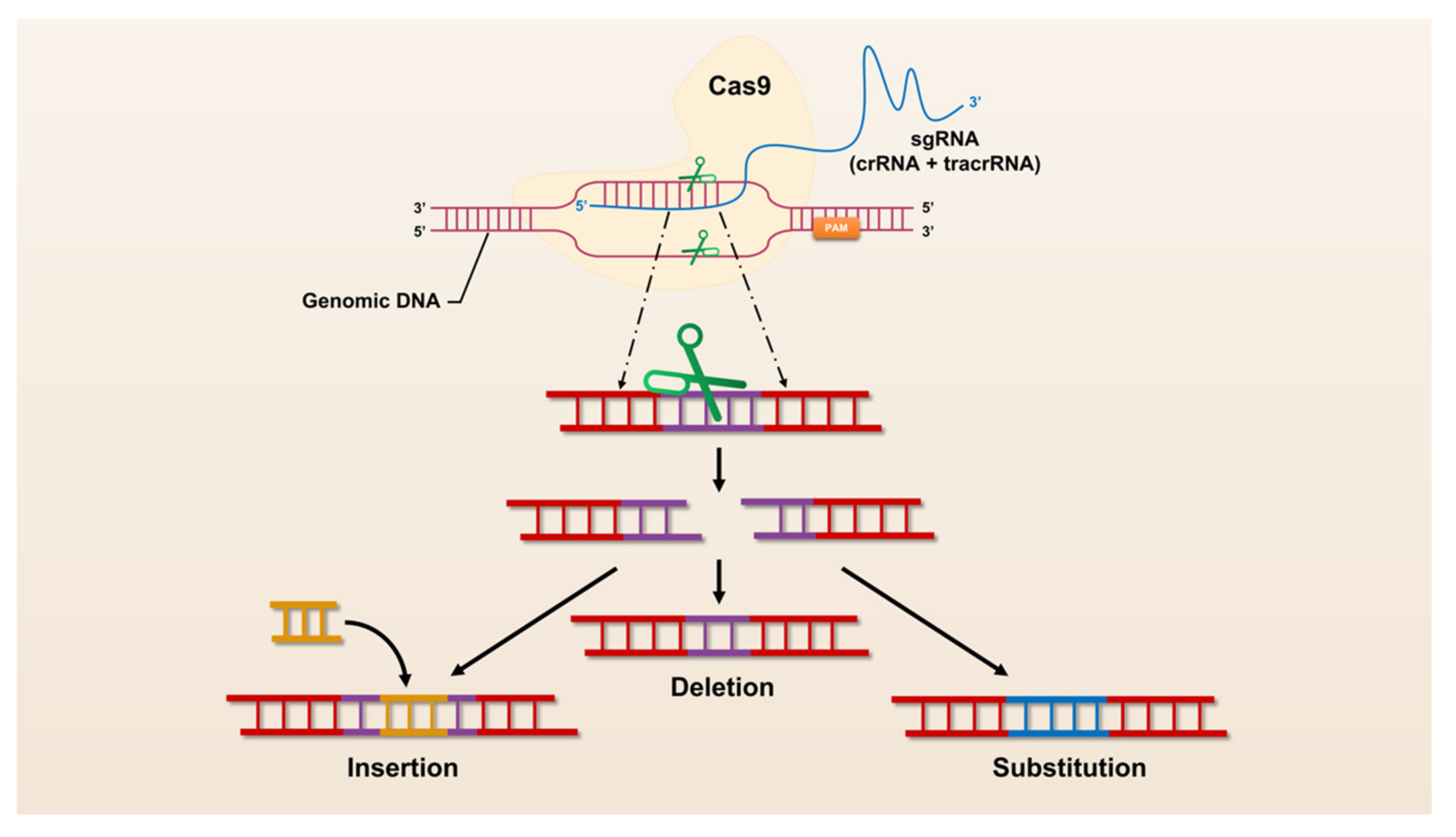 Genes 13 01000 g001