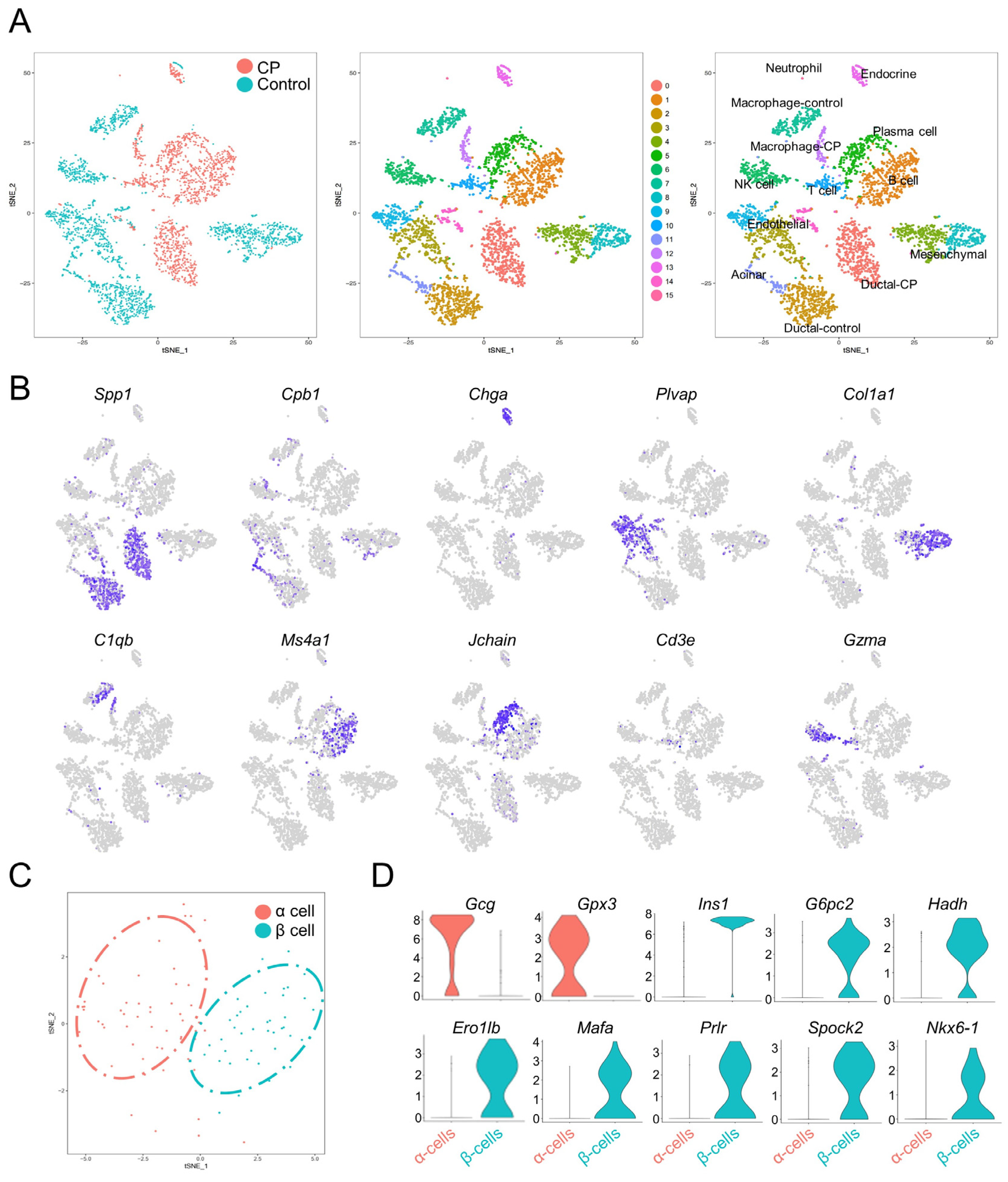 Genes 13 01015 g002 Genes 13 01015 g002