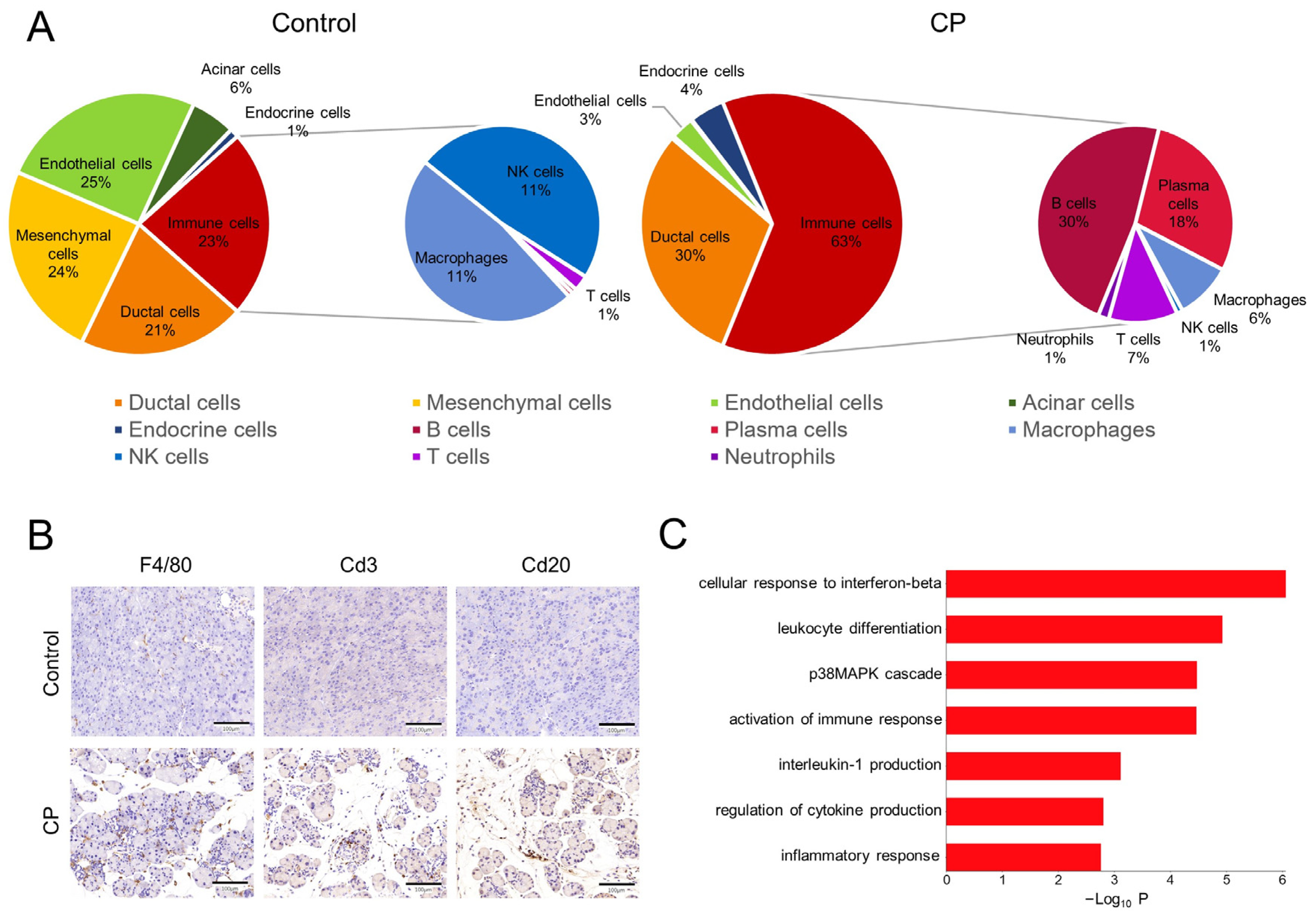 Genes 13 01015 g004 Genes 13 01015 g004