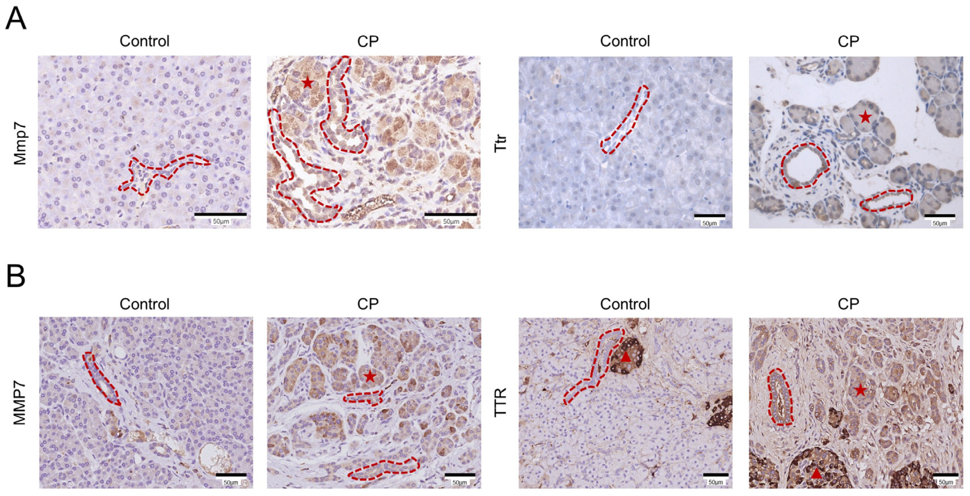 Genes 13 01015 g006 Genes 13 01015 g006