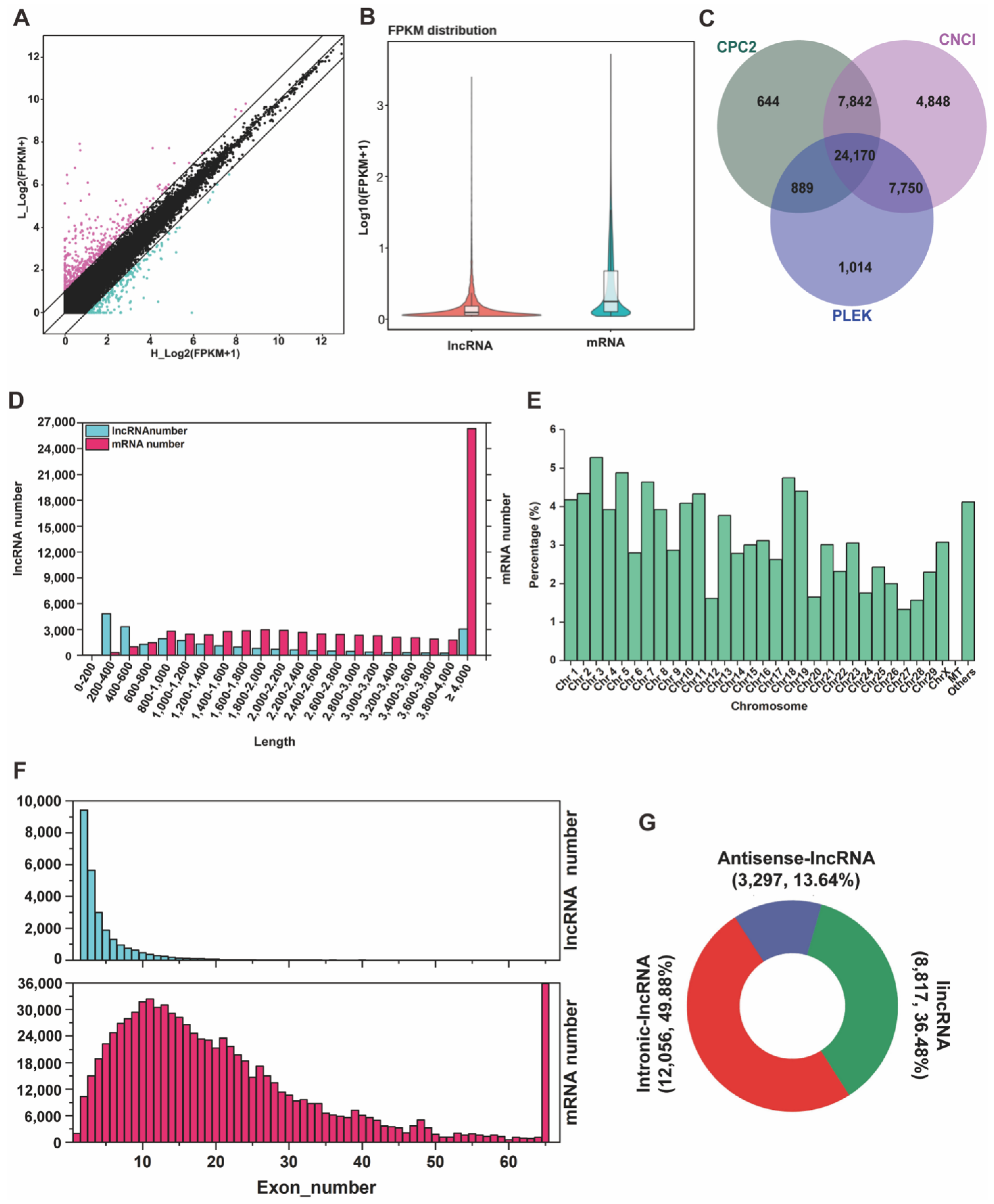 Genes 13 01031 g001