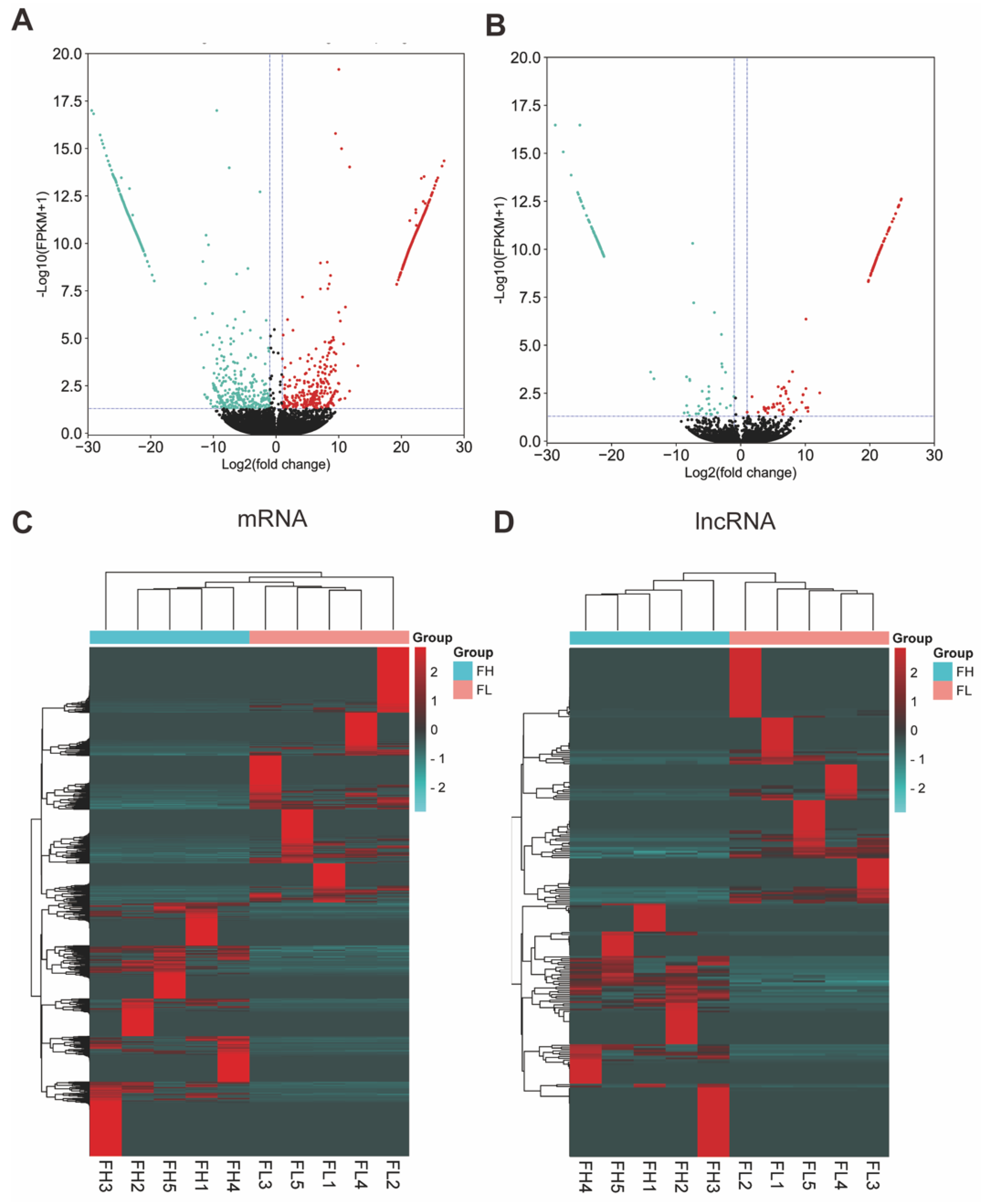 Genes 13 01031 g002