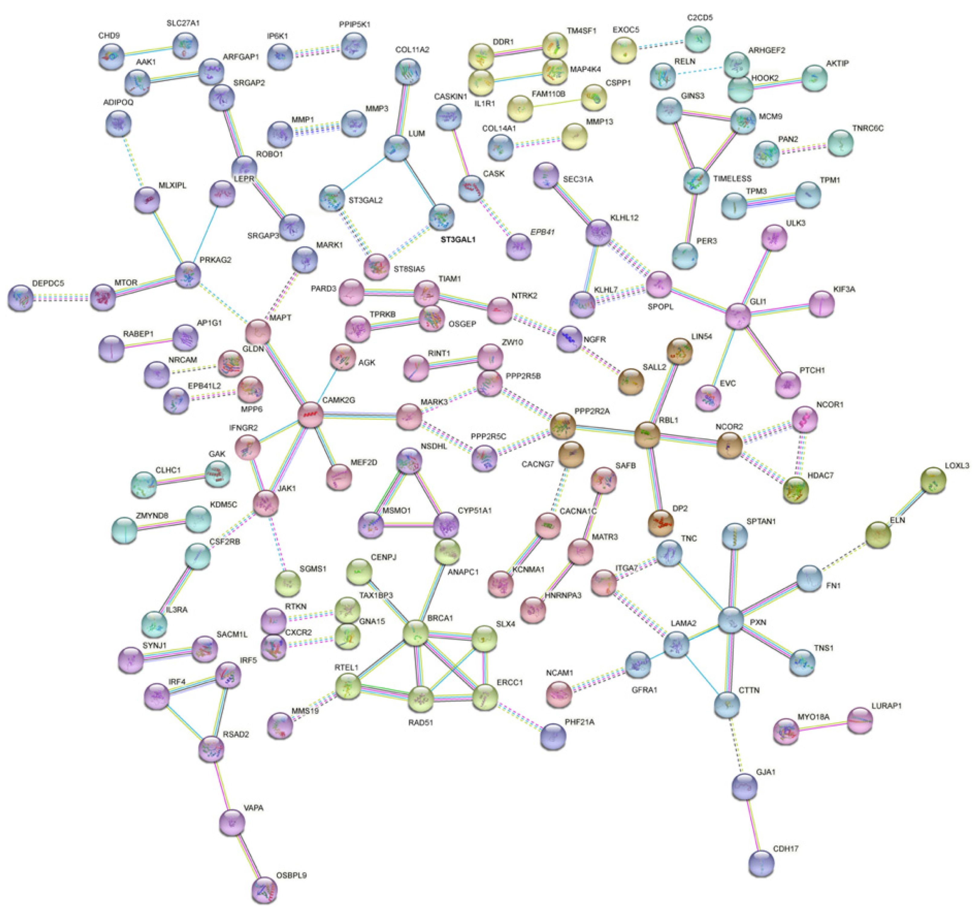 Genes 13 01031 g003