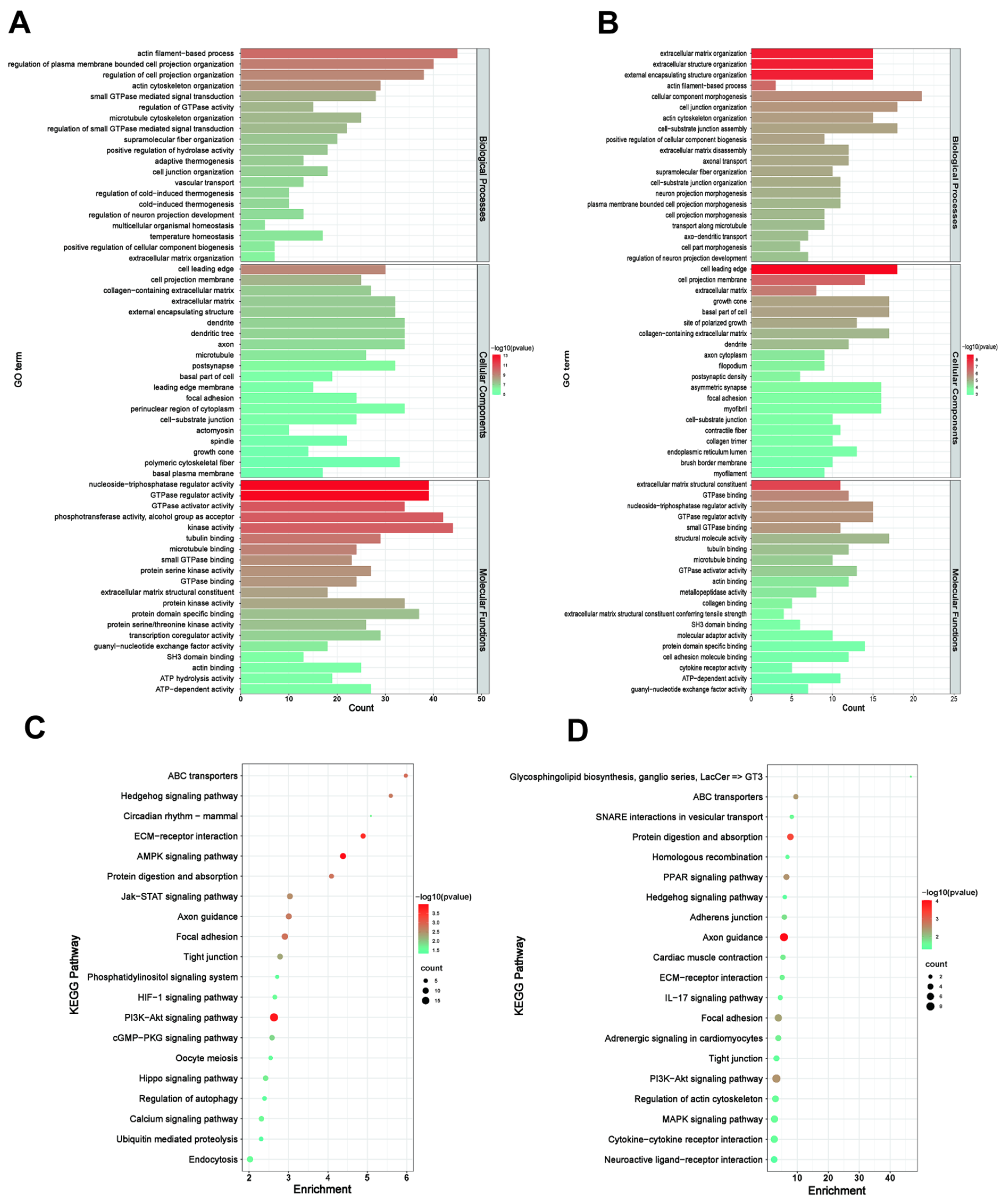 Genes 13 01031 g004