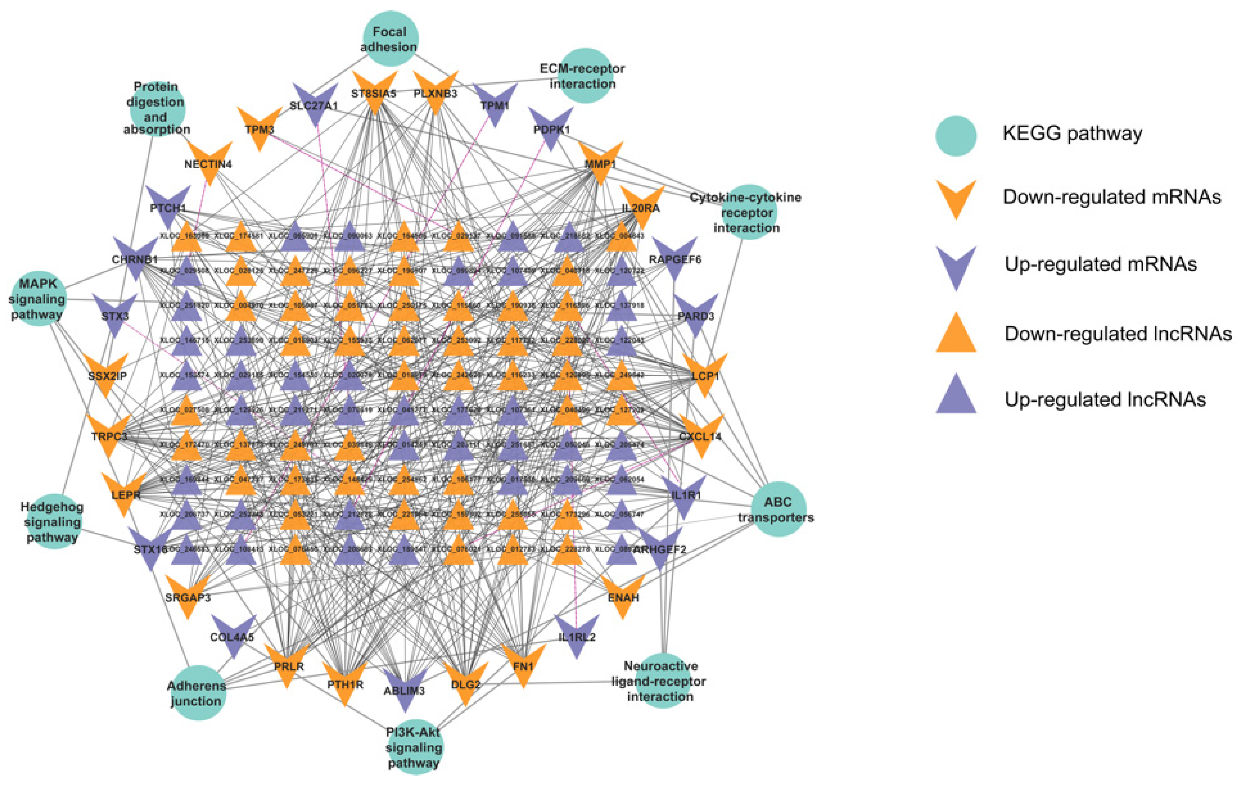 Genes 13 01031 g005