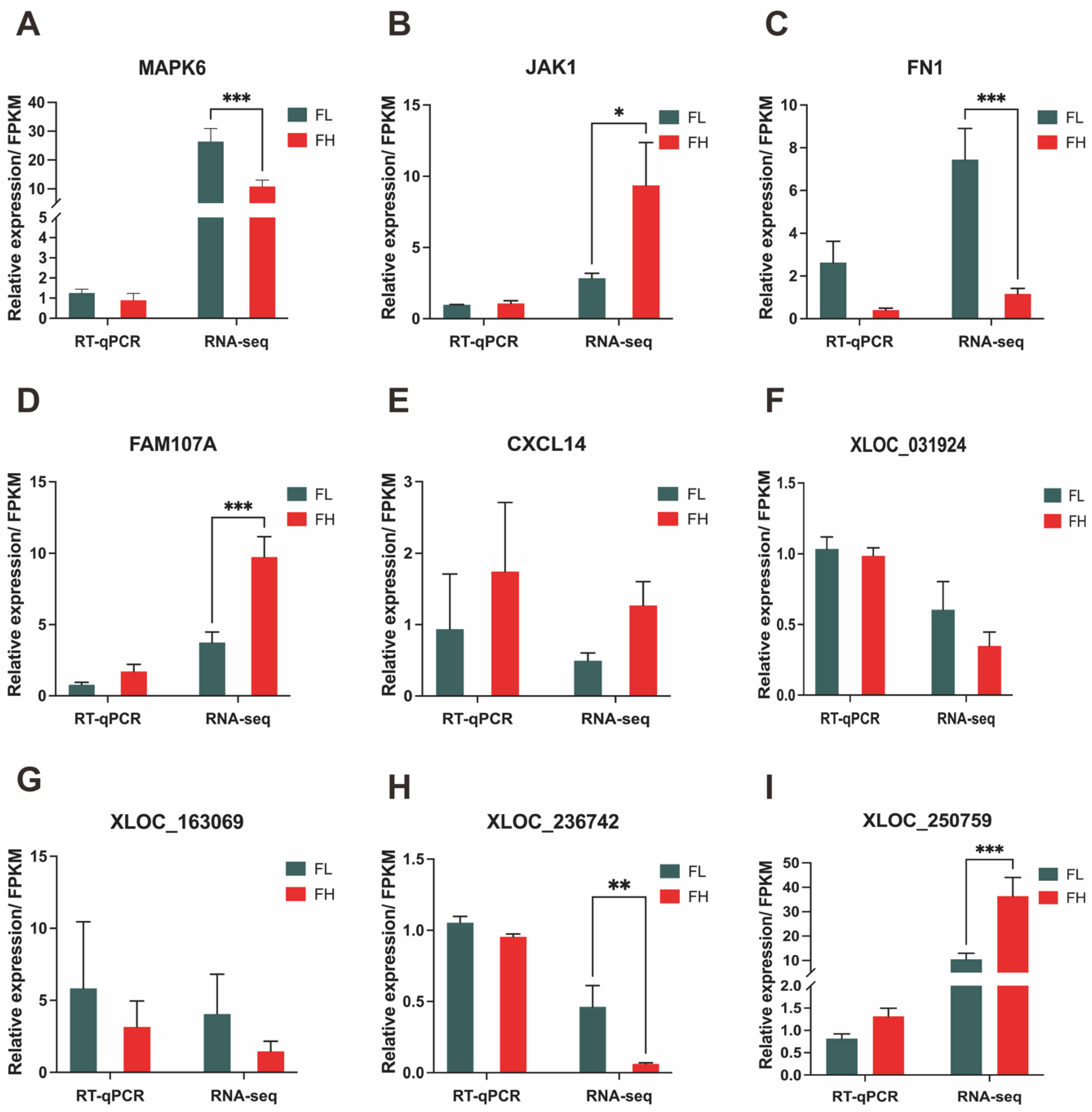 Genes 13 01031 g006