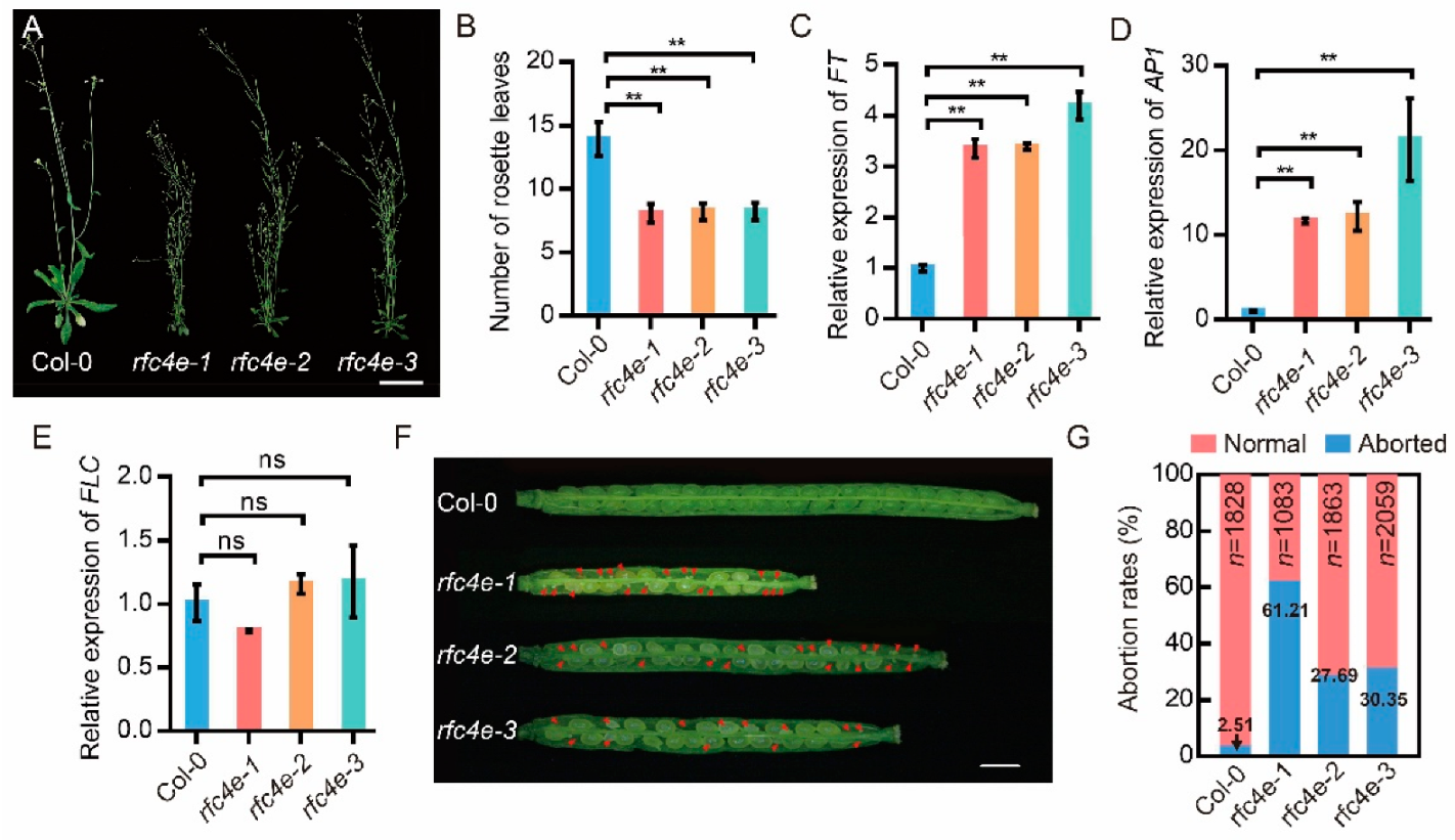 Genes 13 01037 g002 Genes 13 01037 g002