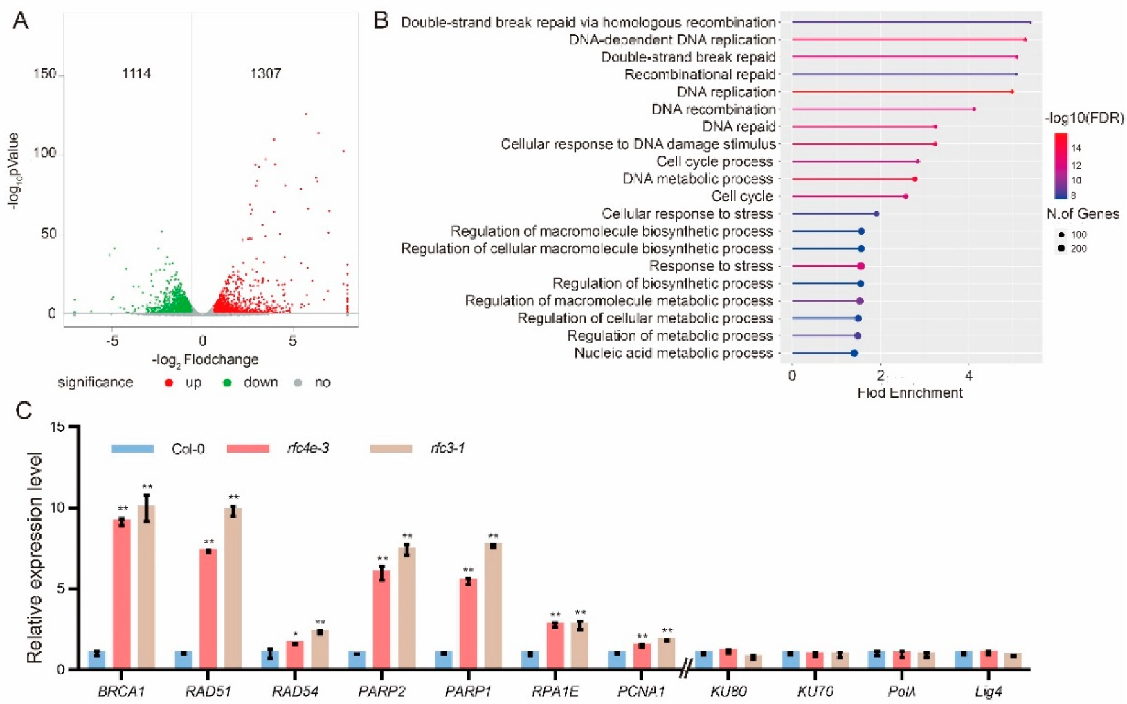 Genes 13 01037 g003 Genes 13 01037 g003