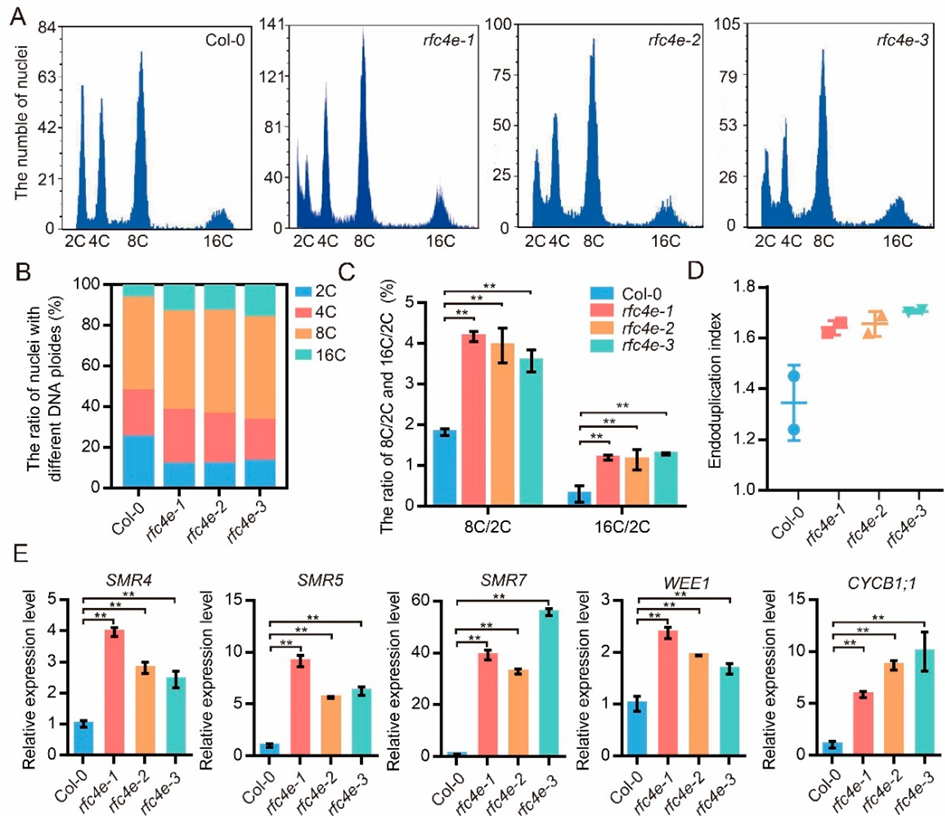 Genes 13 01037 g007 Genes 13 01037 g007