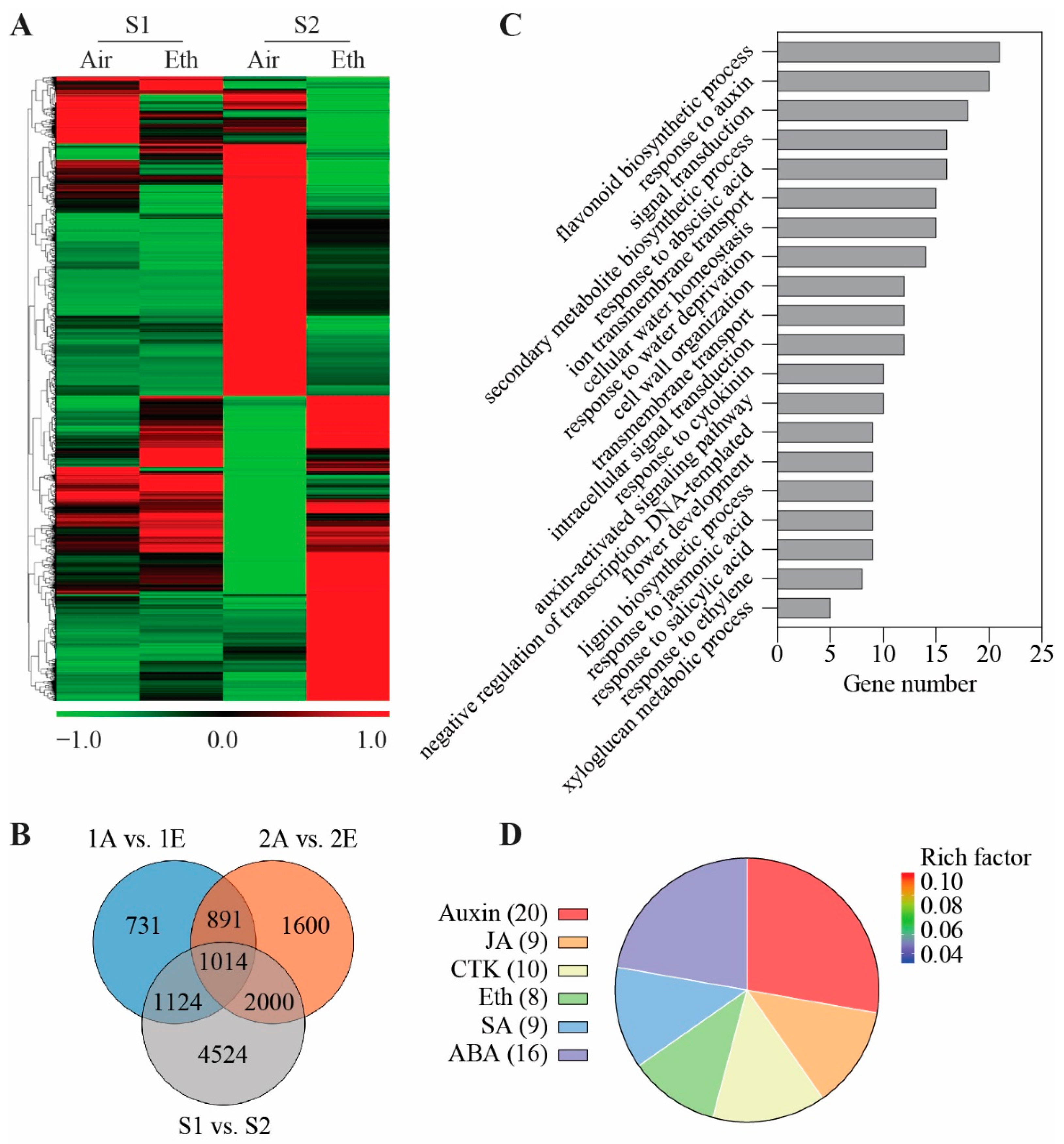 Genes 13 01041 g002 Genes 13 01041 g002