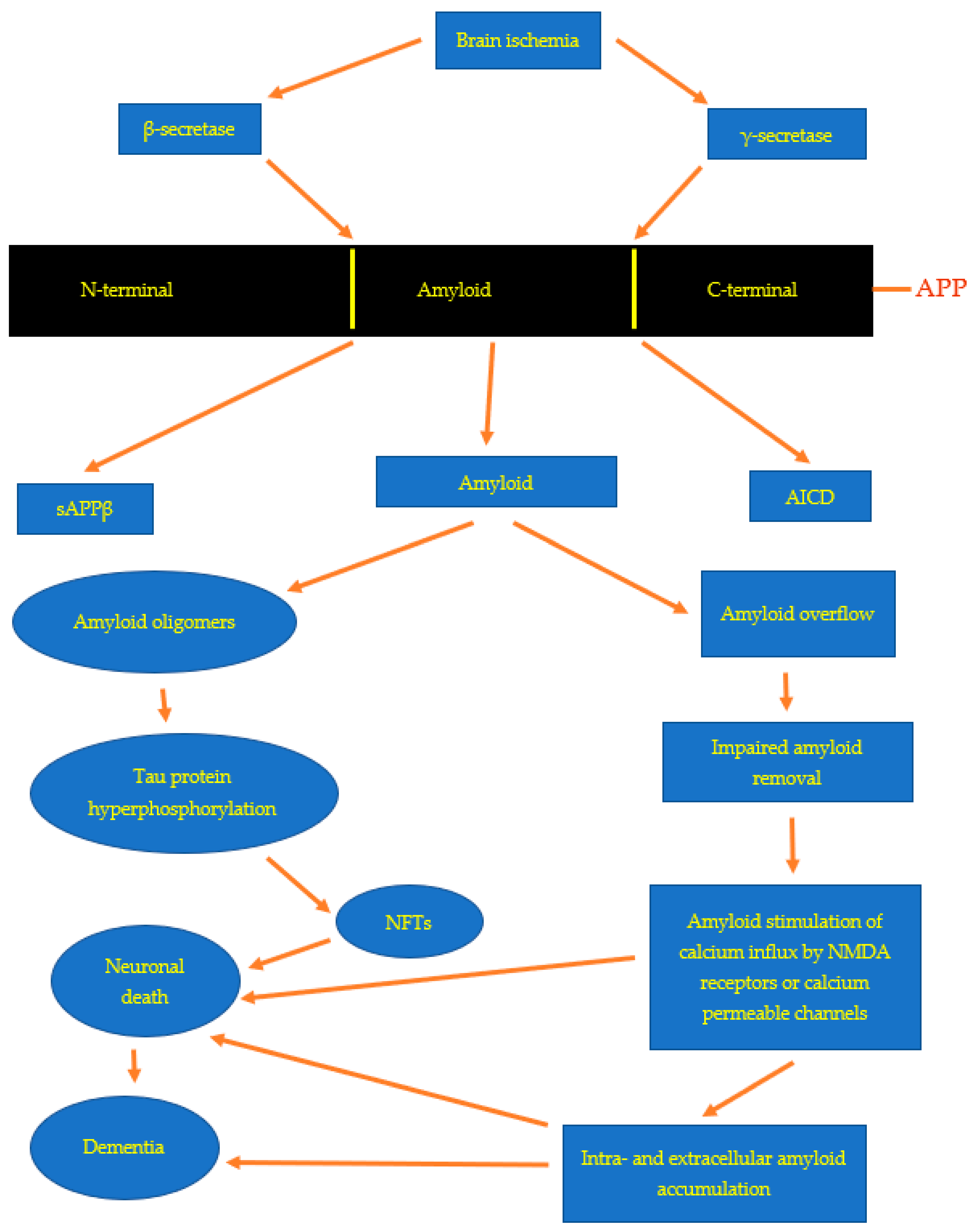 Genes 13 01059 g001