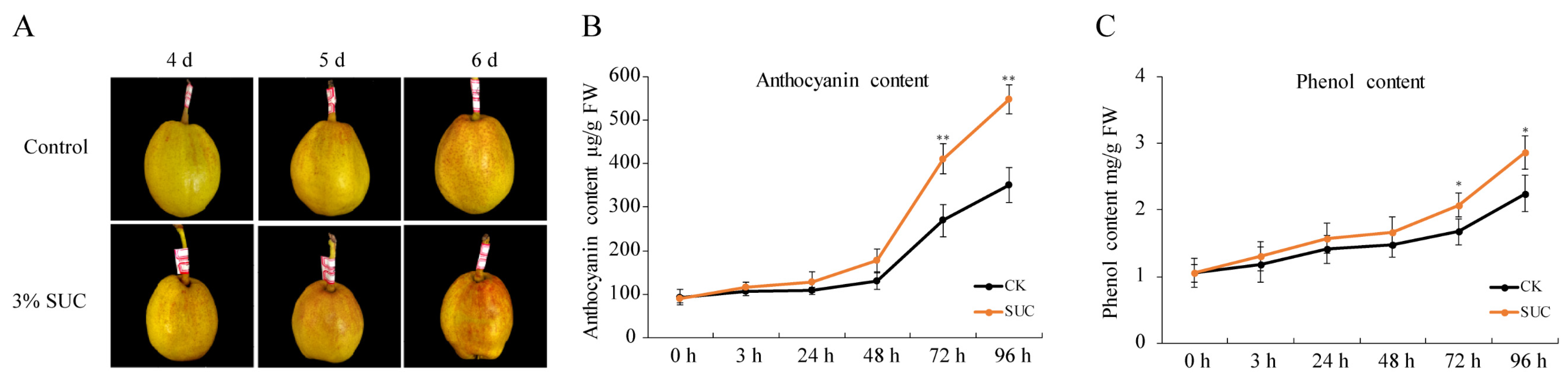 Genes 13 01064 g001 Genes 13 01064 g001