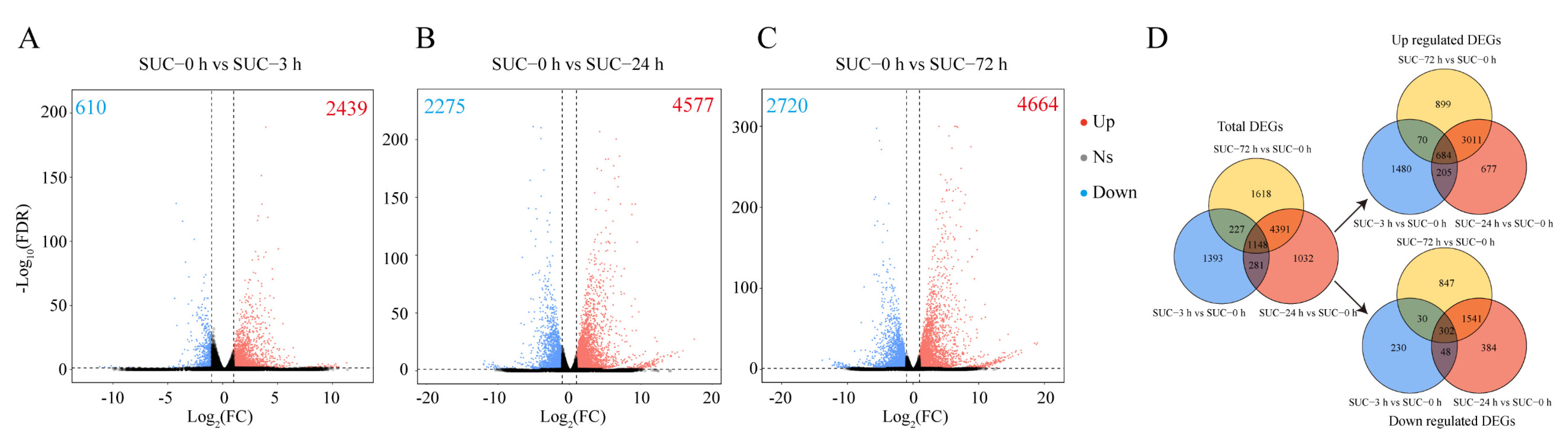Genes 13 01064 g003 Genes 13 01064 g003