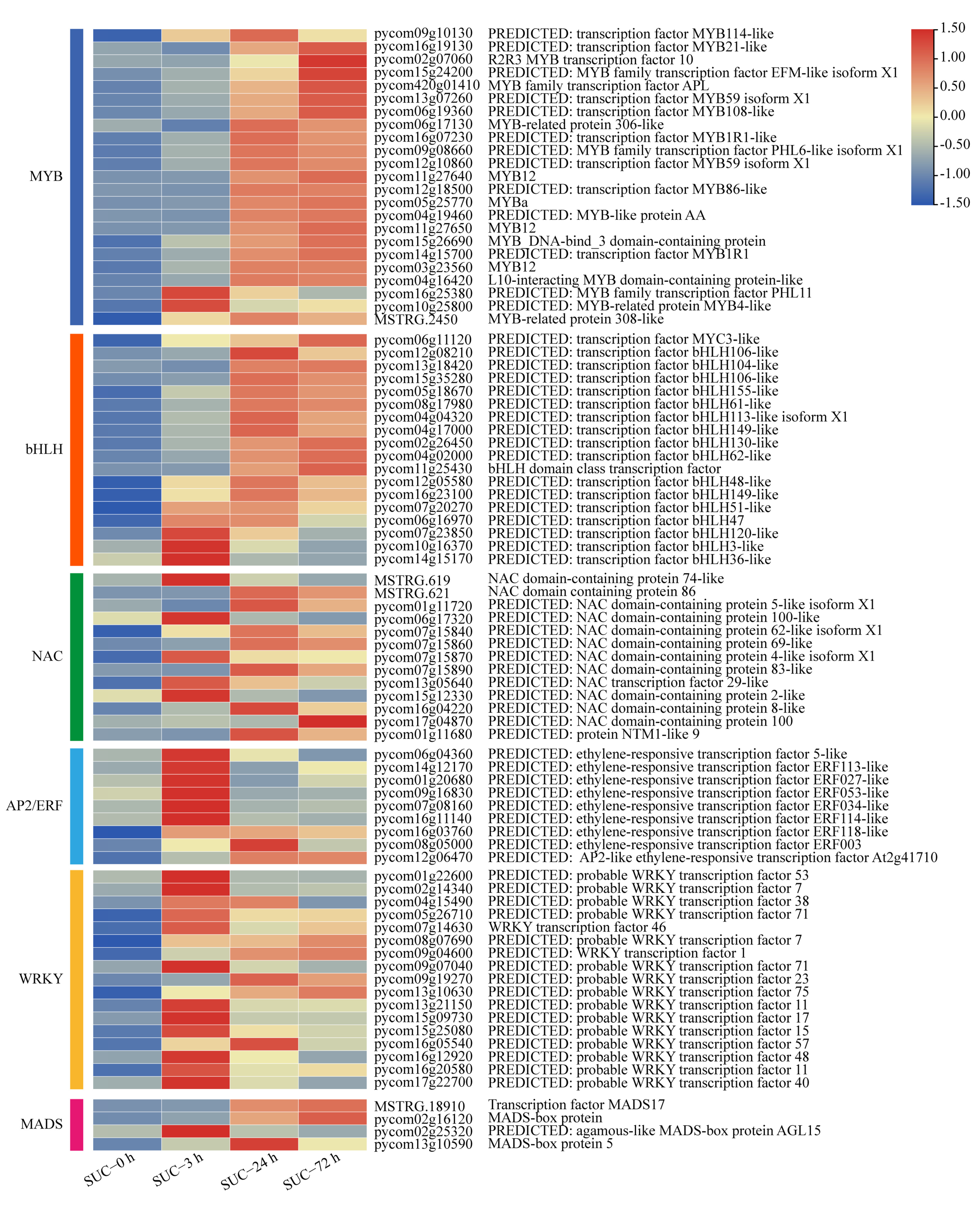 Genes 13 01064 g007 Genes 13 01064 g007