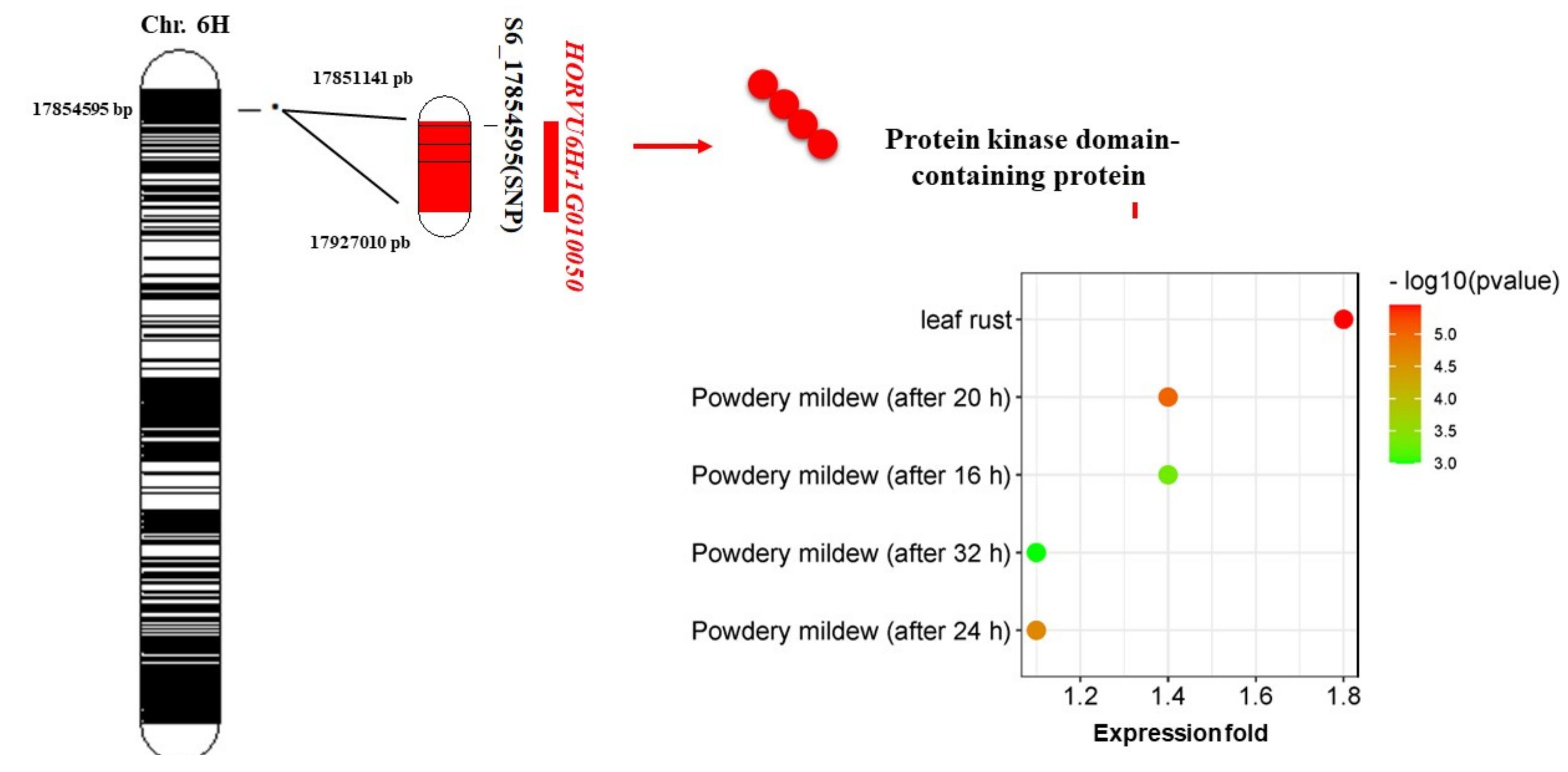 Genes 13 01075 g004