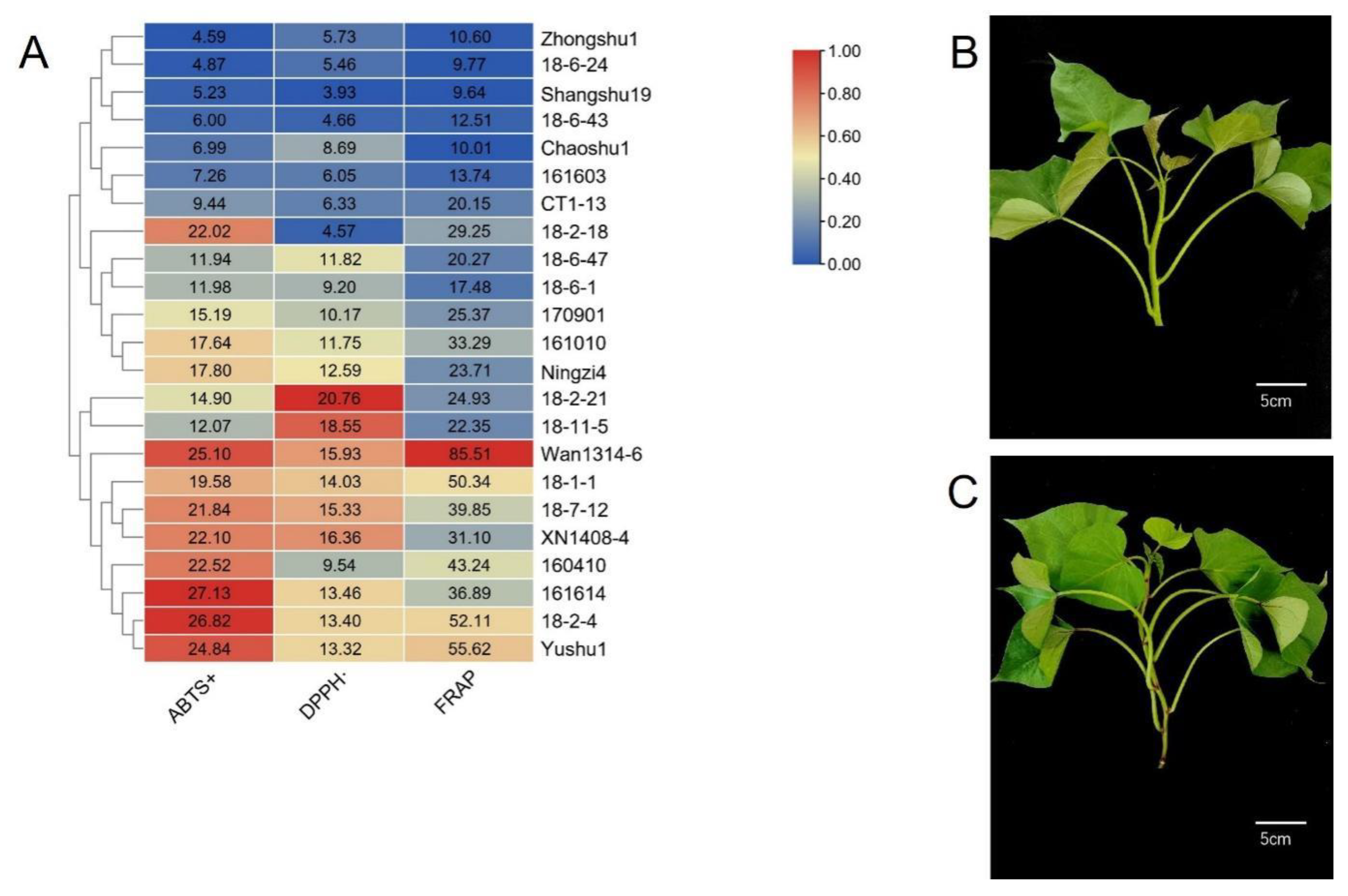 Genes 13 01078 g001