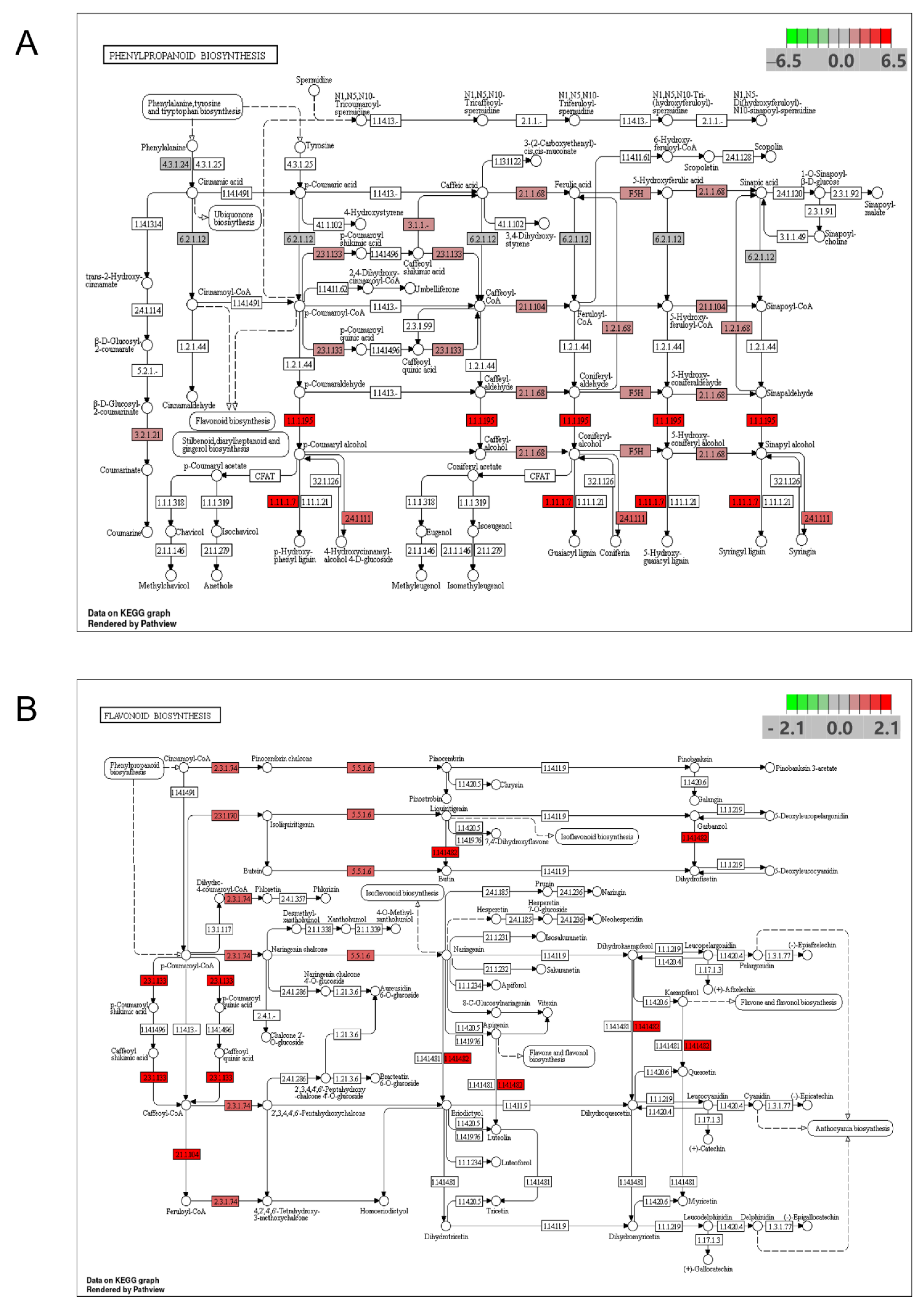Genes 13 01078 g007