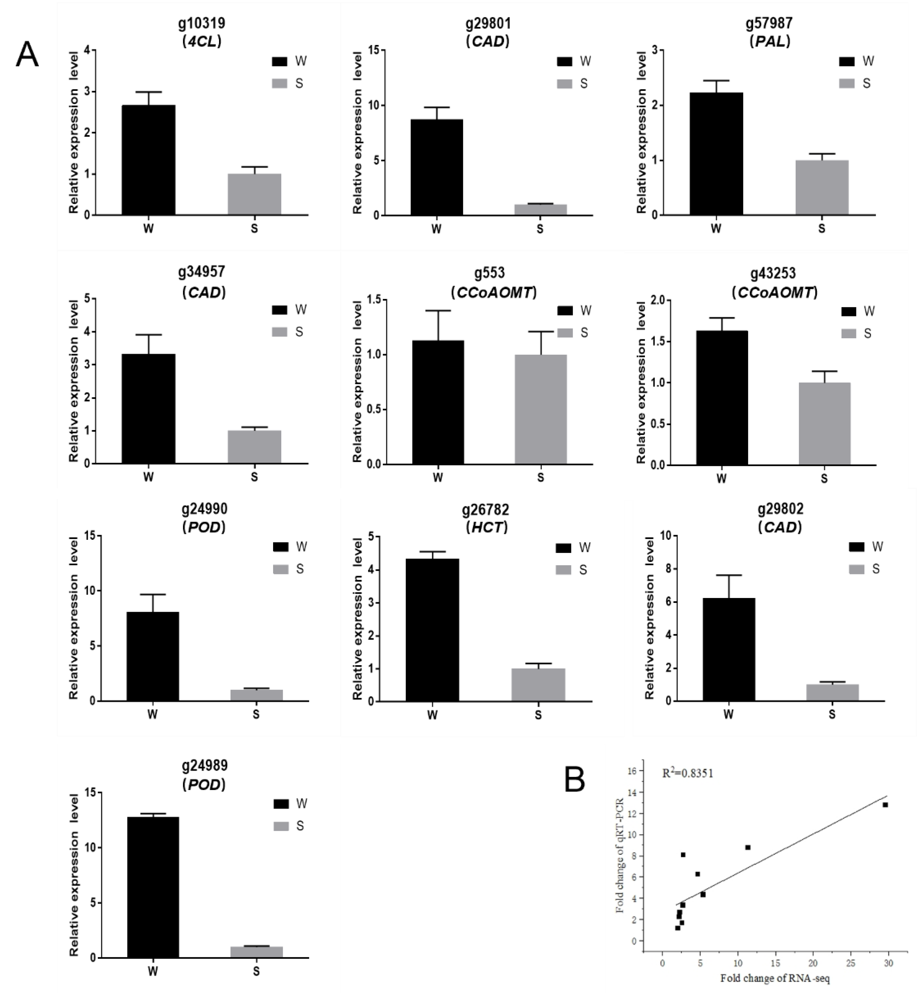 Genes 13 01078 g008