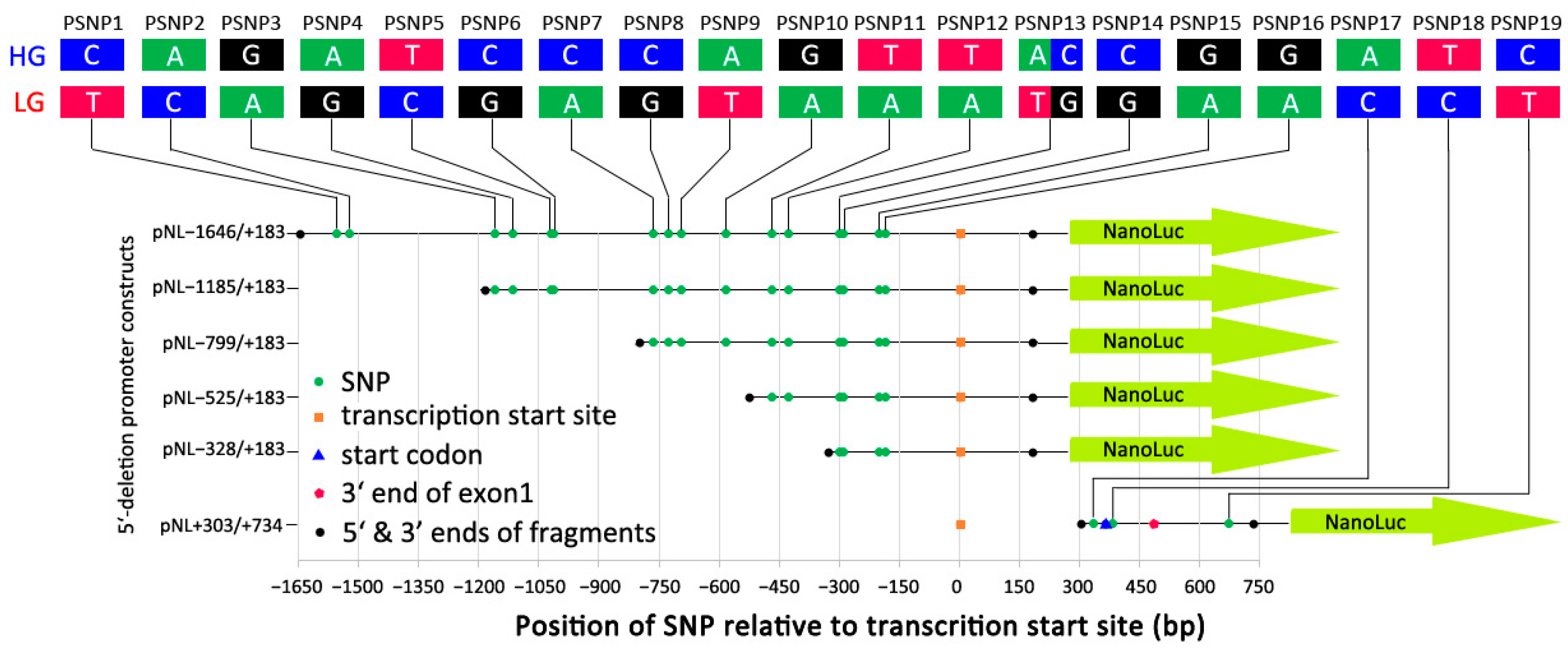 Genes 13 01083 g001 Genes 13 01083 g001