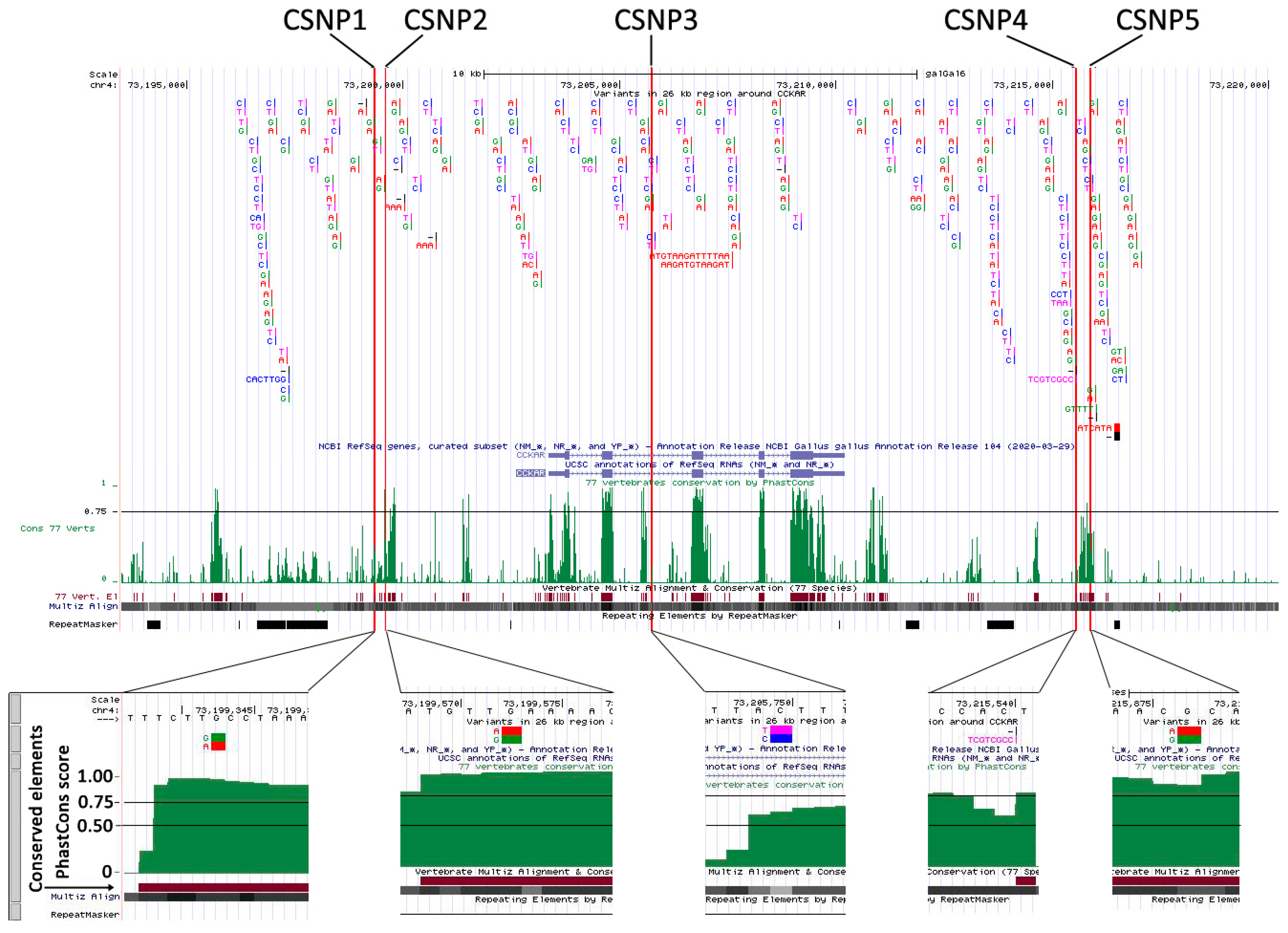 Genes 13 01083 g002 Genes 13 01083 g002