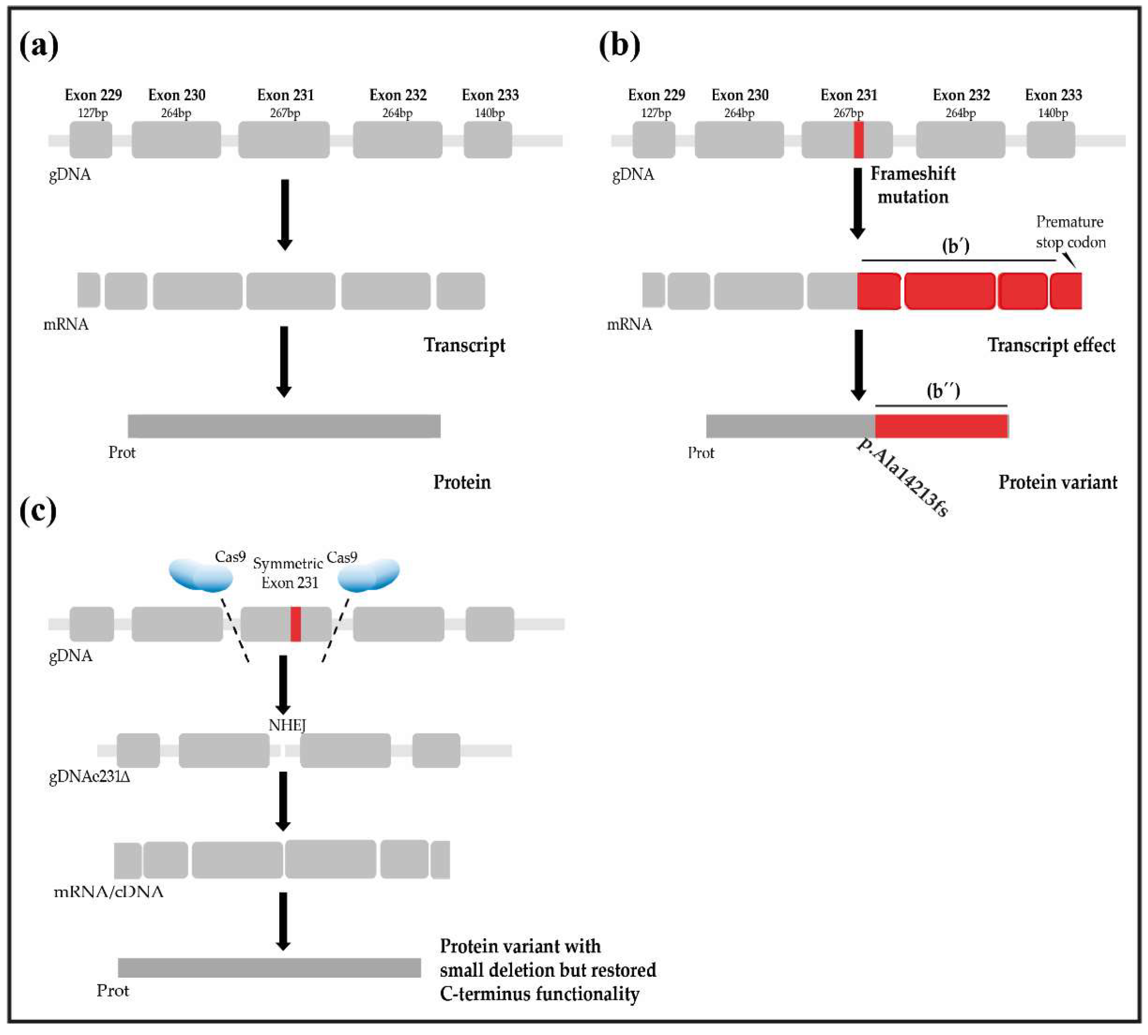 Genes 13 01093 g002 Genes 13 01093 g002