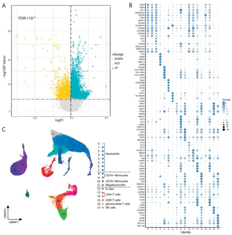 Genes 13 01109 g002a