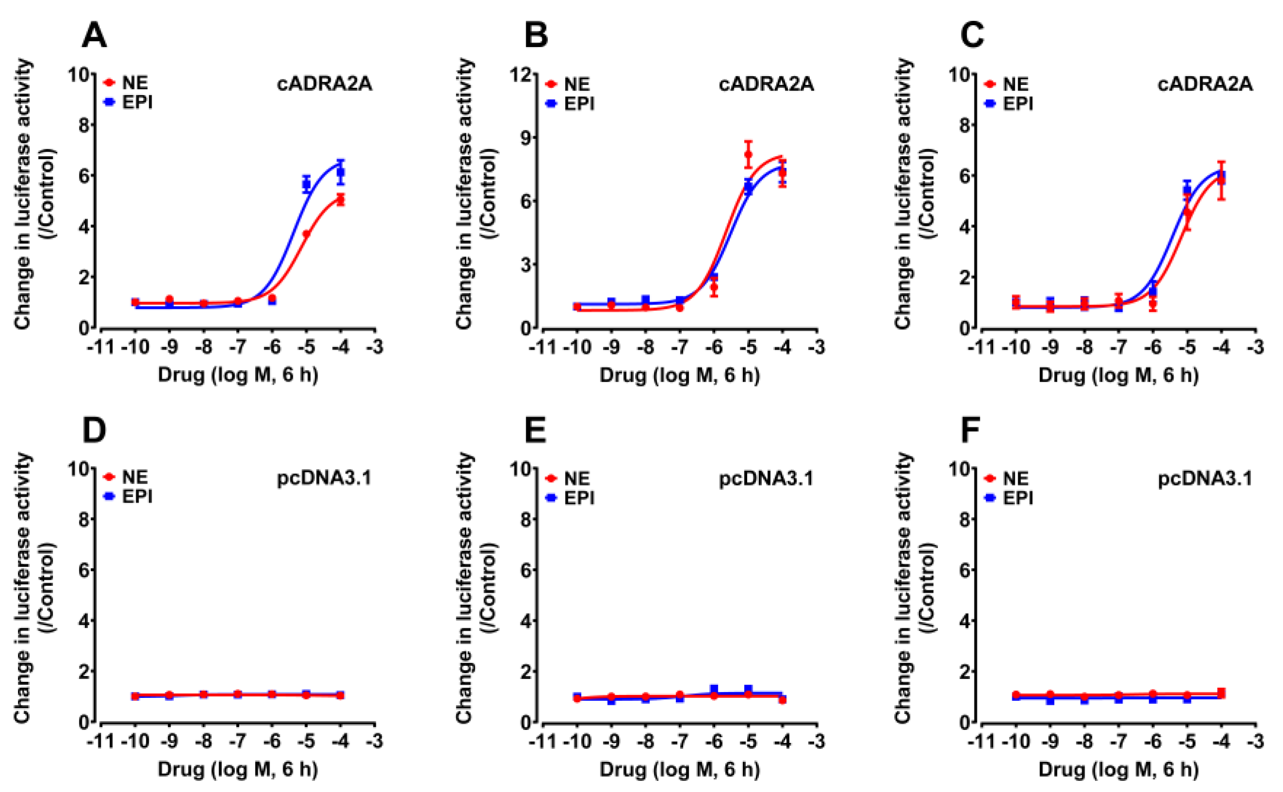 Genes 13 01113 g002 Genes 13 01113 g002