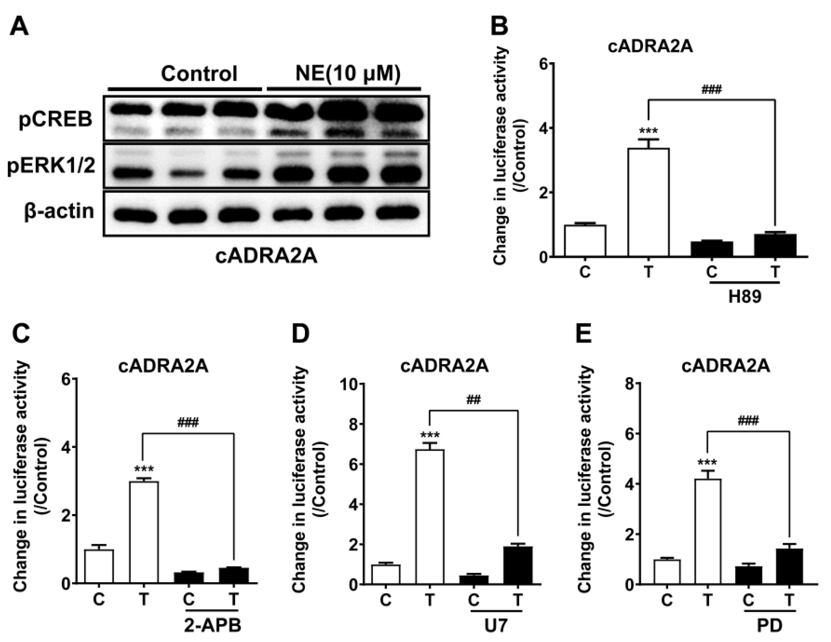 Genes 13 01113 g003 Genes 13 01113 g003