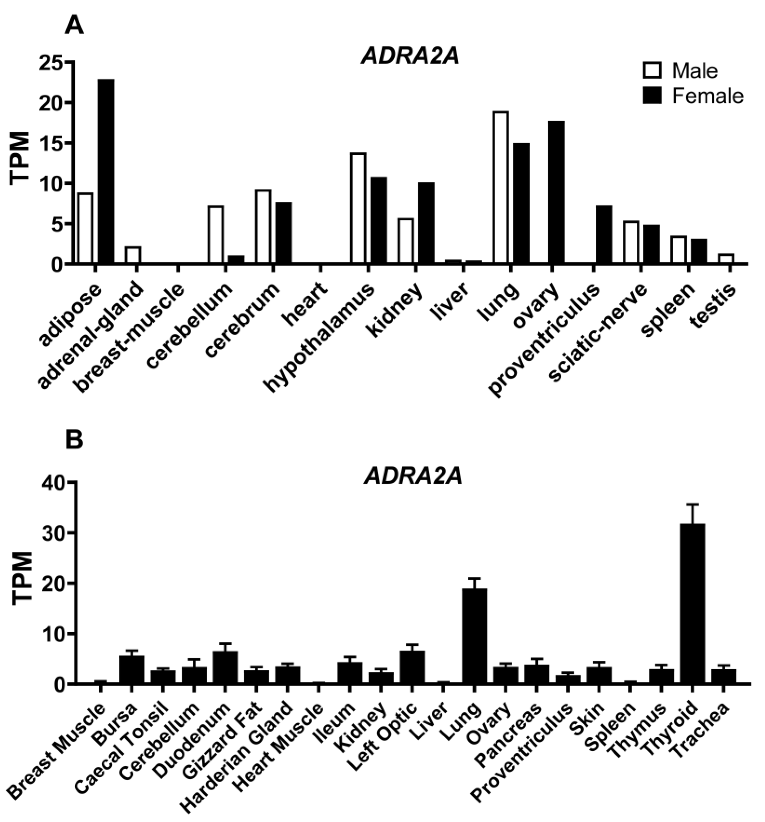 Genes 13 01113 g004 Genes 13 01113 g004