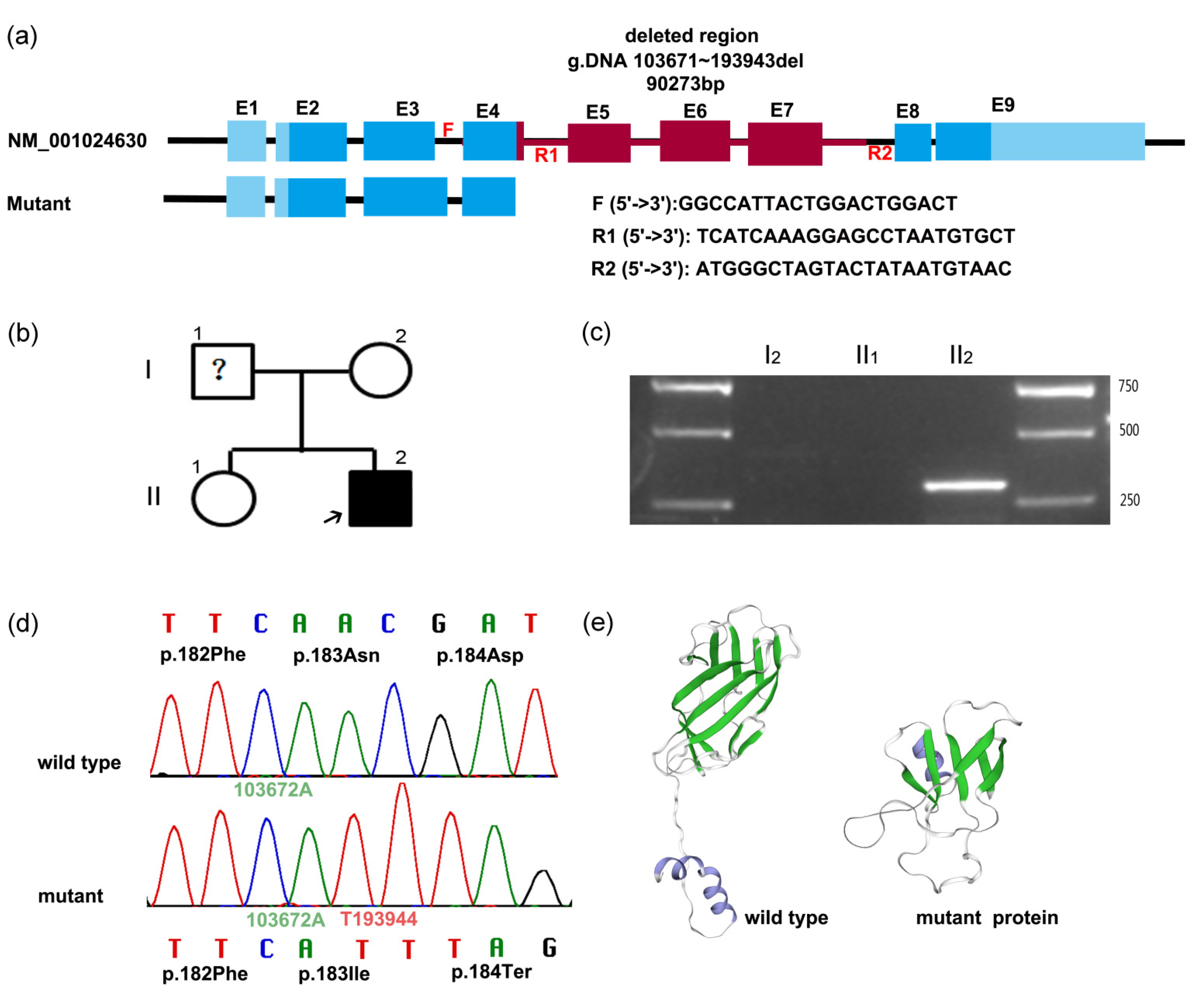 Genes 13 01128 g002 Genes 13 01128 g002
