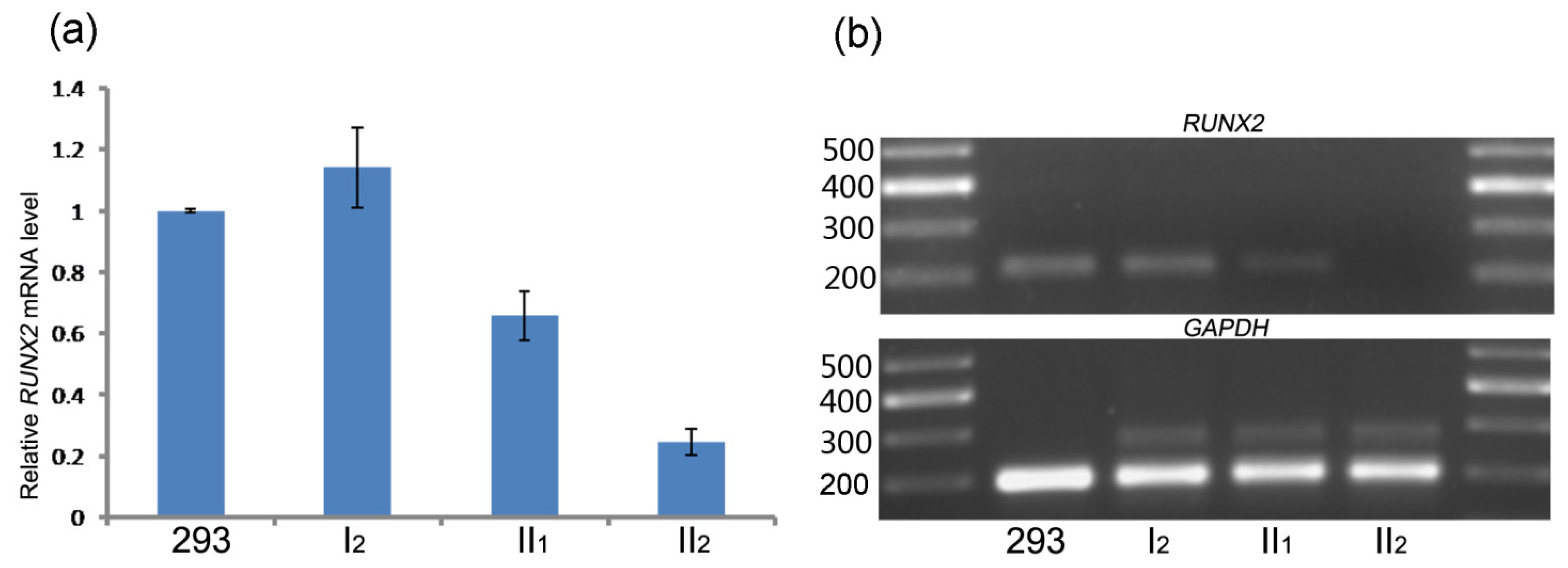 Genes 13 01128 g003 Genes 13 01128 g003