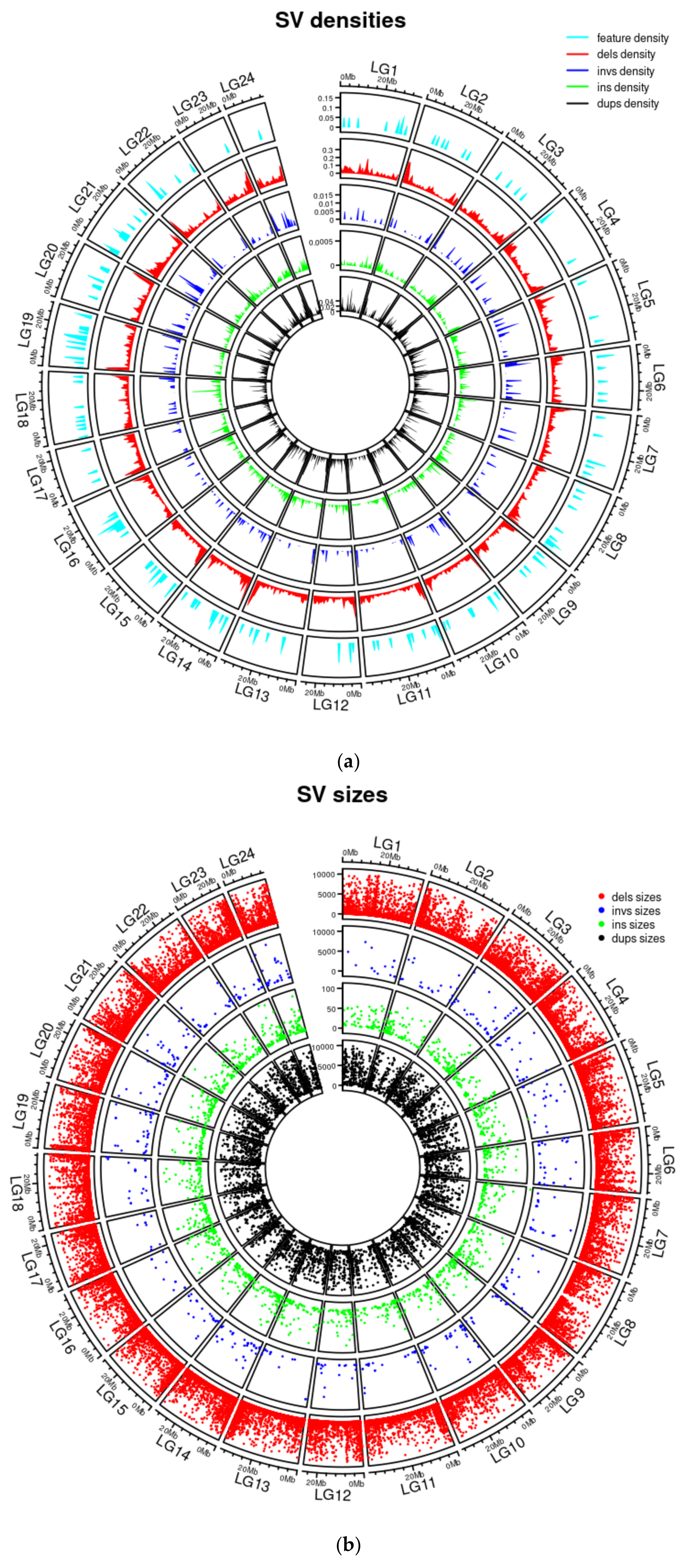 Genes 13 01129 g003