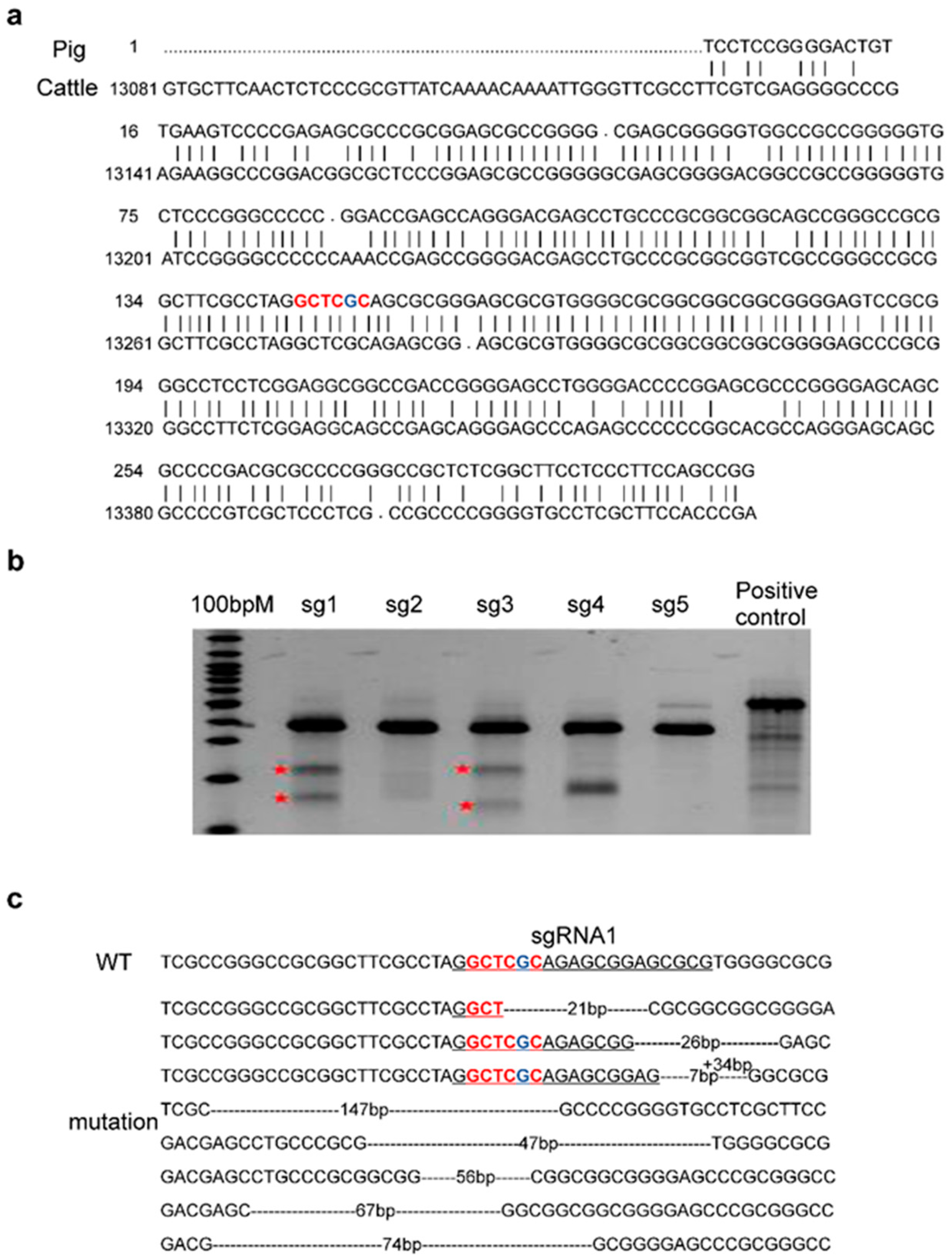 Genes 13 01132 g001