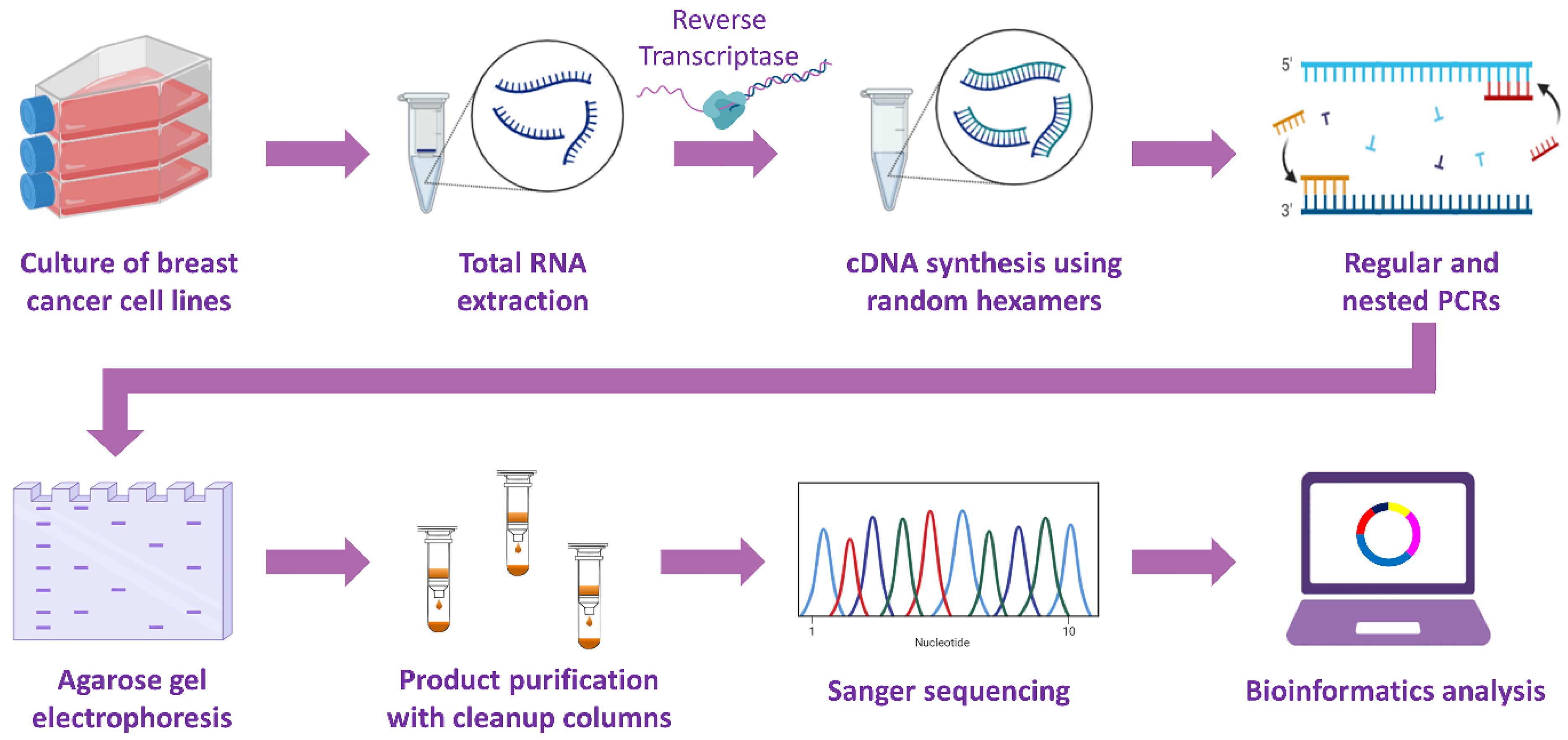Genes 13 01133 g001 Genes 13 01133 g001