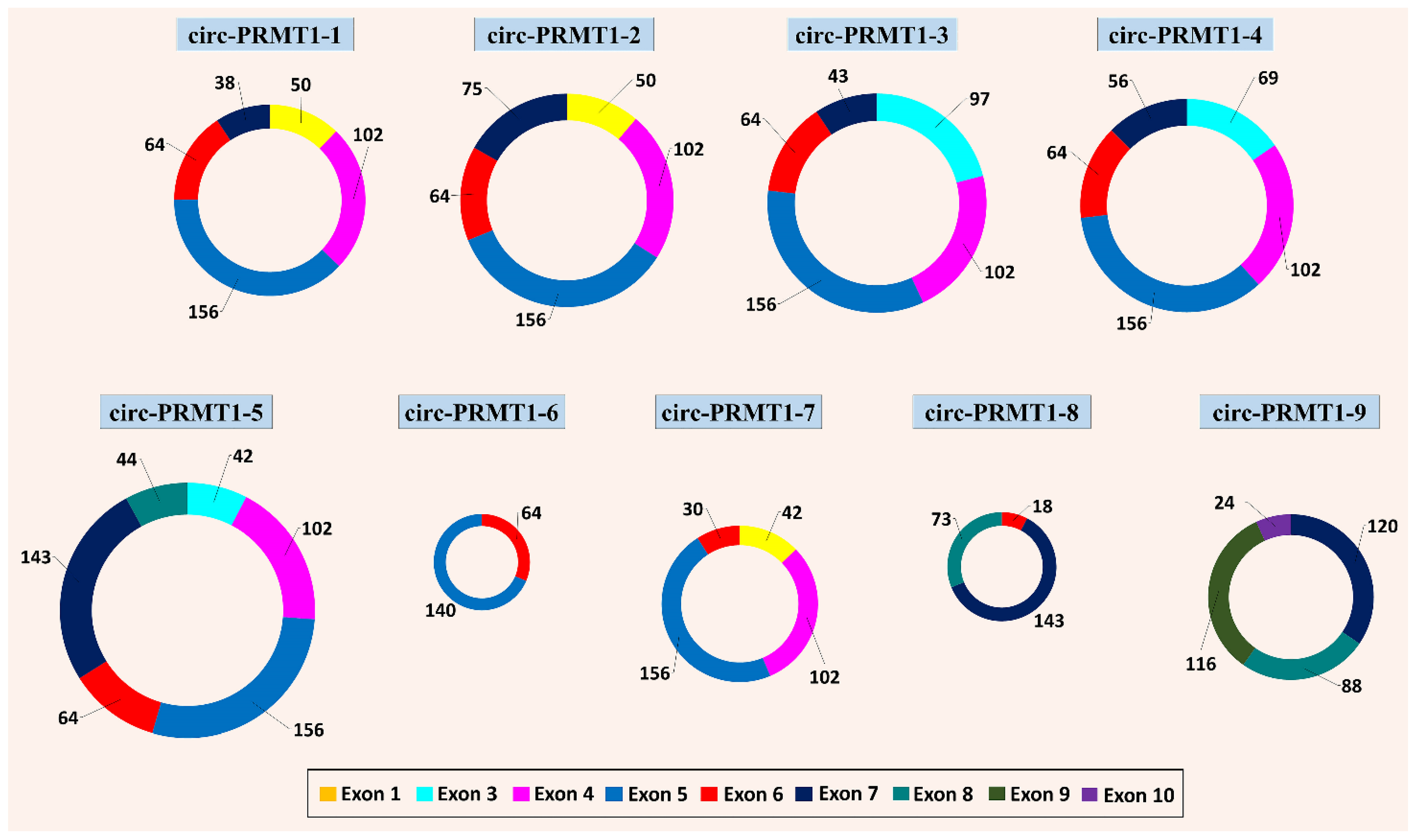 Genes 13 01133 g002 Genes 13 01133 g002