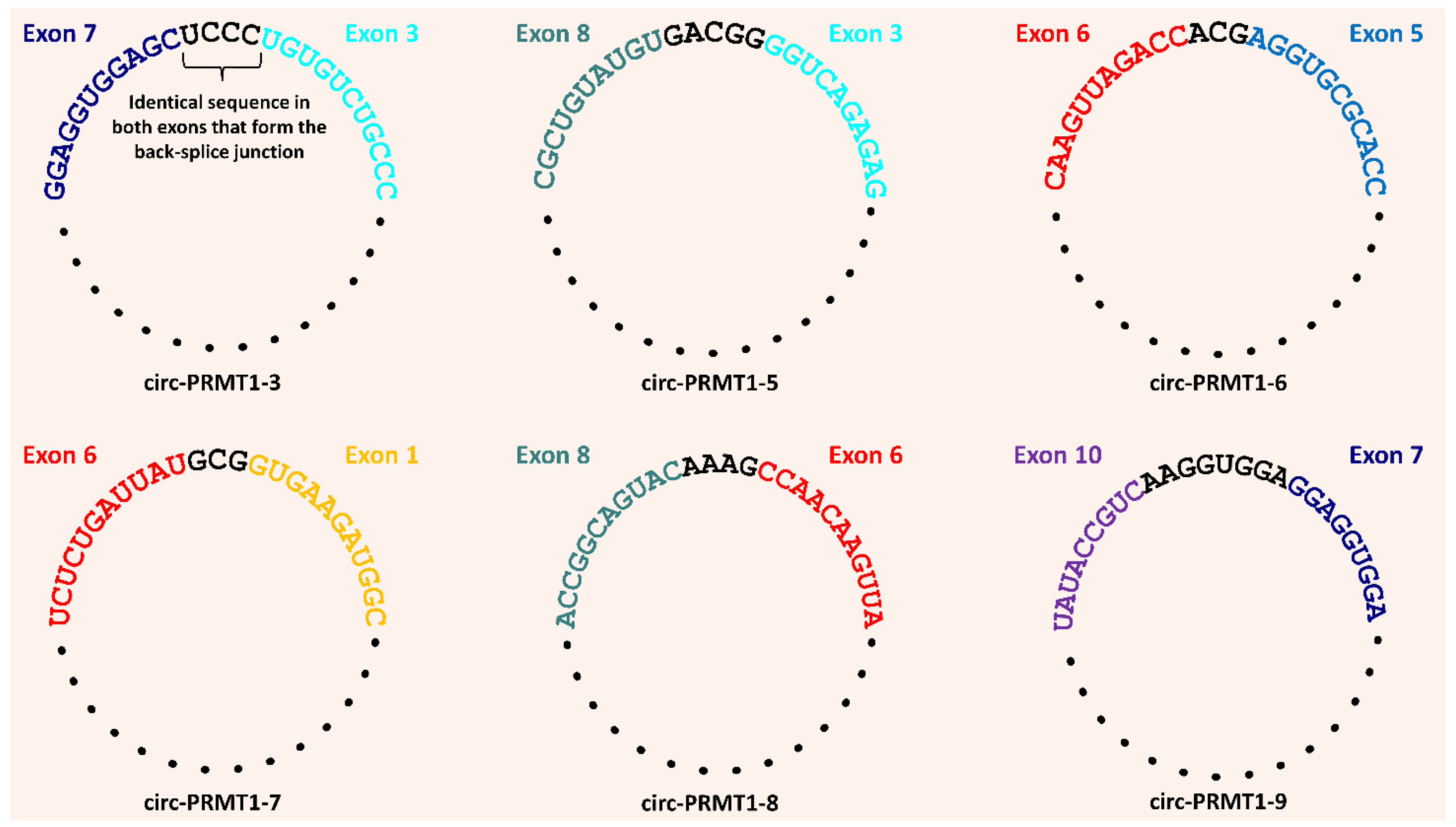 Genes 13 01133 g003 Genes 13 01133 g003