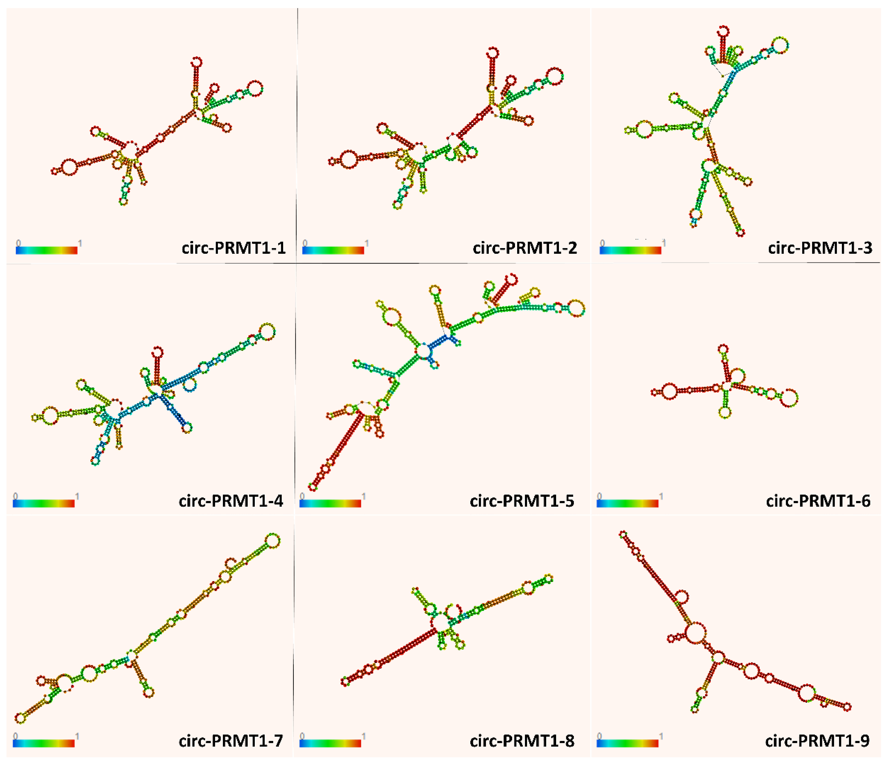 Genes 13 01133 g004 Genes 13 01133 g004