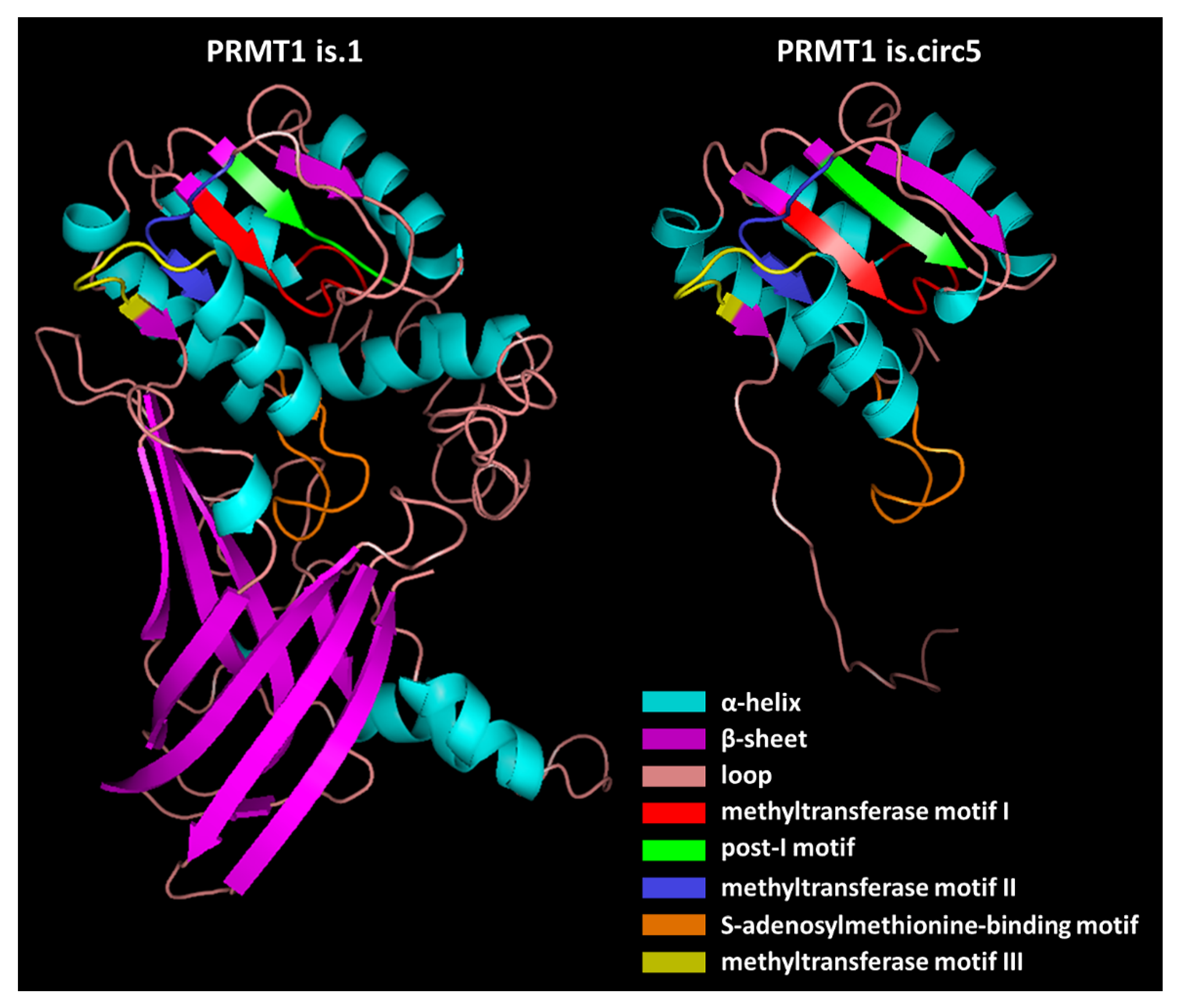 Genes 13 01133 g006 Genes 13 01133 g006