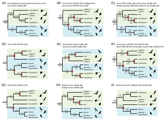 Genes 13 01167 g002 550