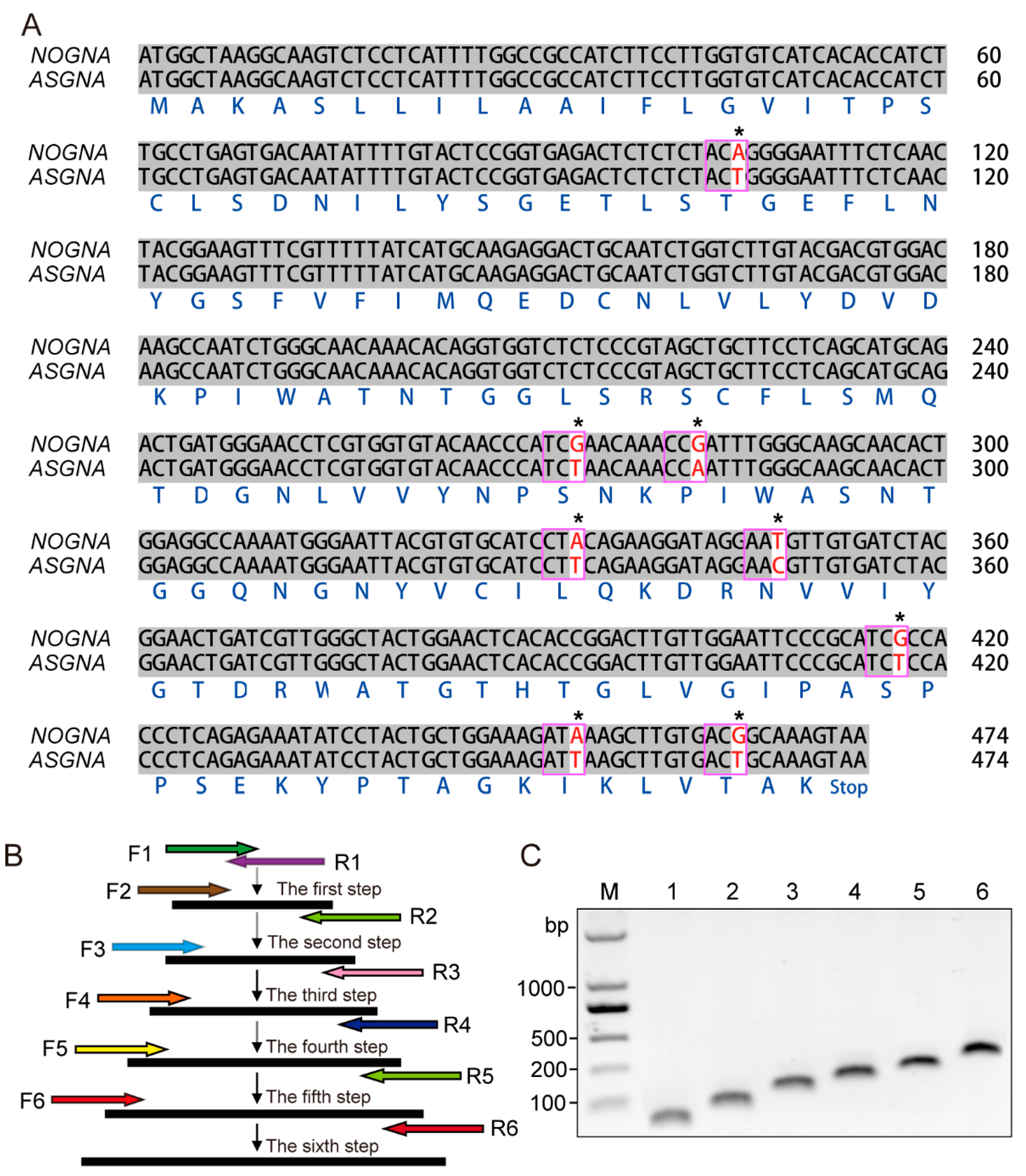 Genes 13 01169 g001 Genes 13 01169 g001
