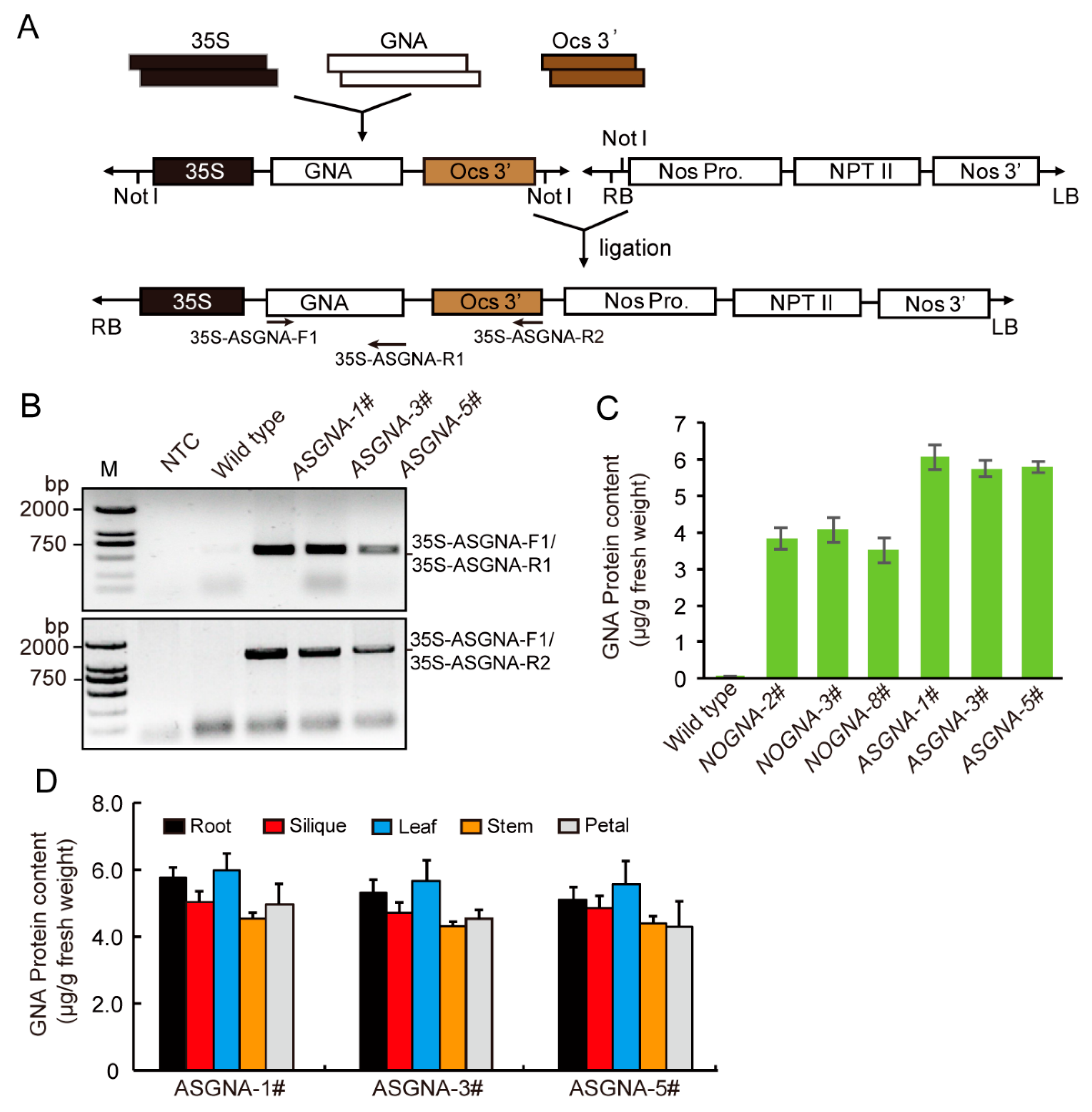 Genes 13 01169 g002 Genes 13 01169 g002